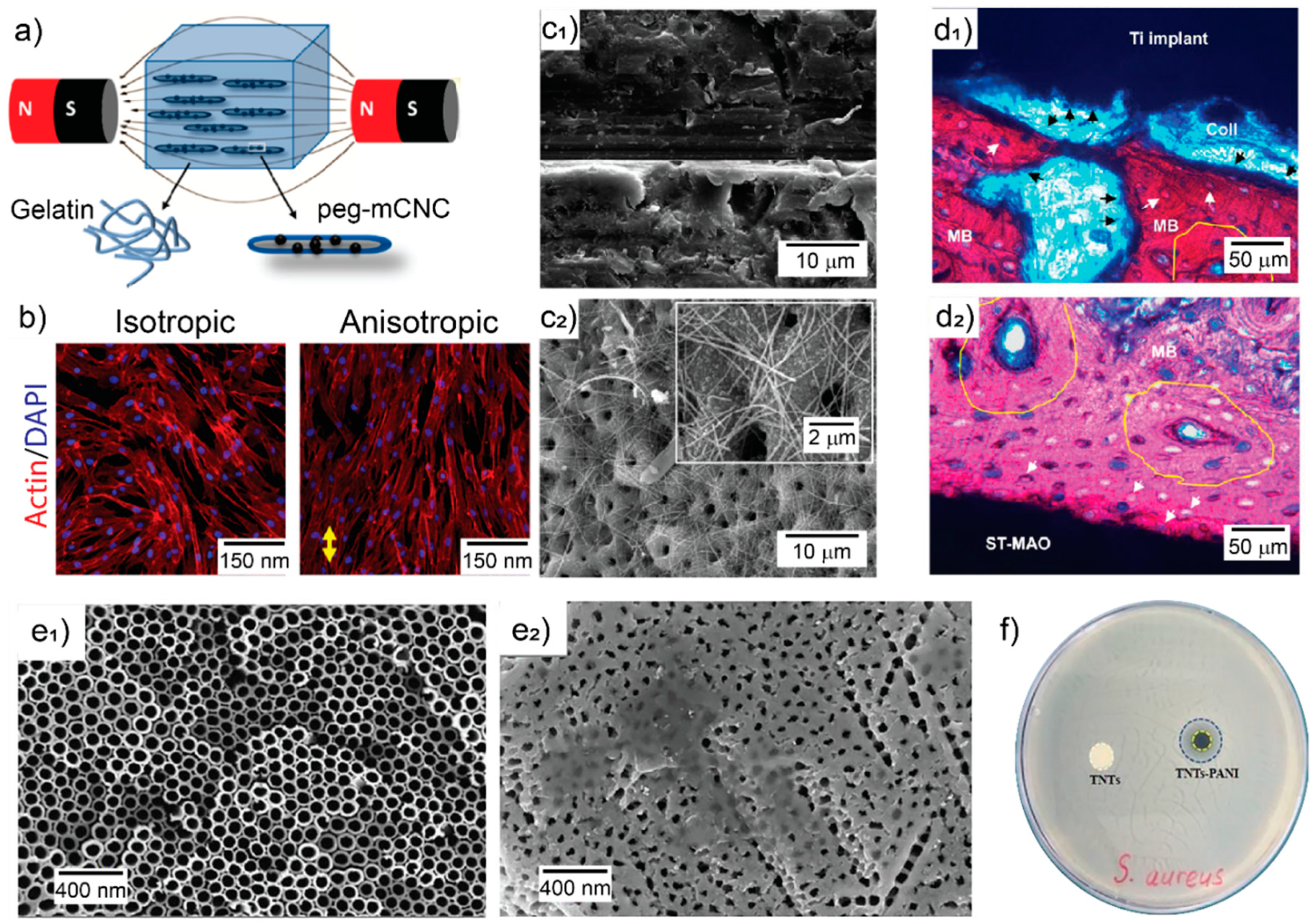 Pharmaceutics 13 00792 g001