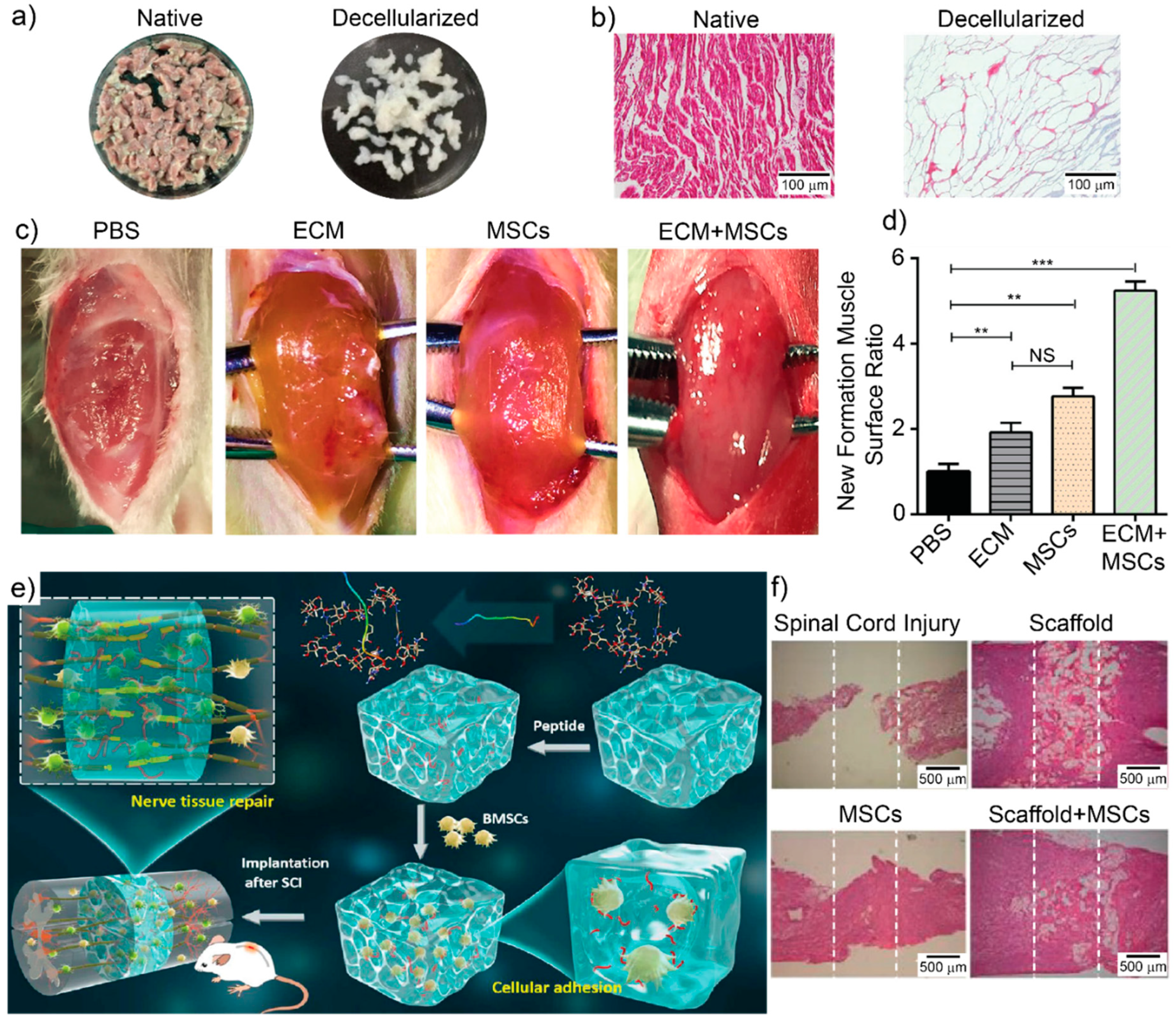 Pharmaceutics 13 00792 g004