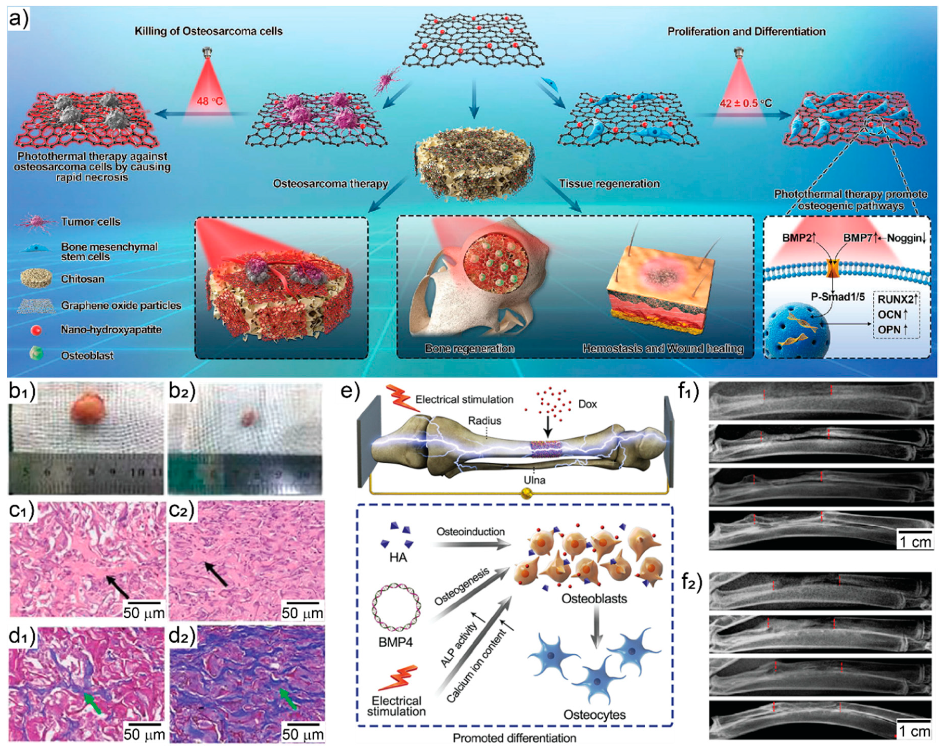 Pharmaceutics 13 00792 g006