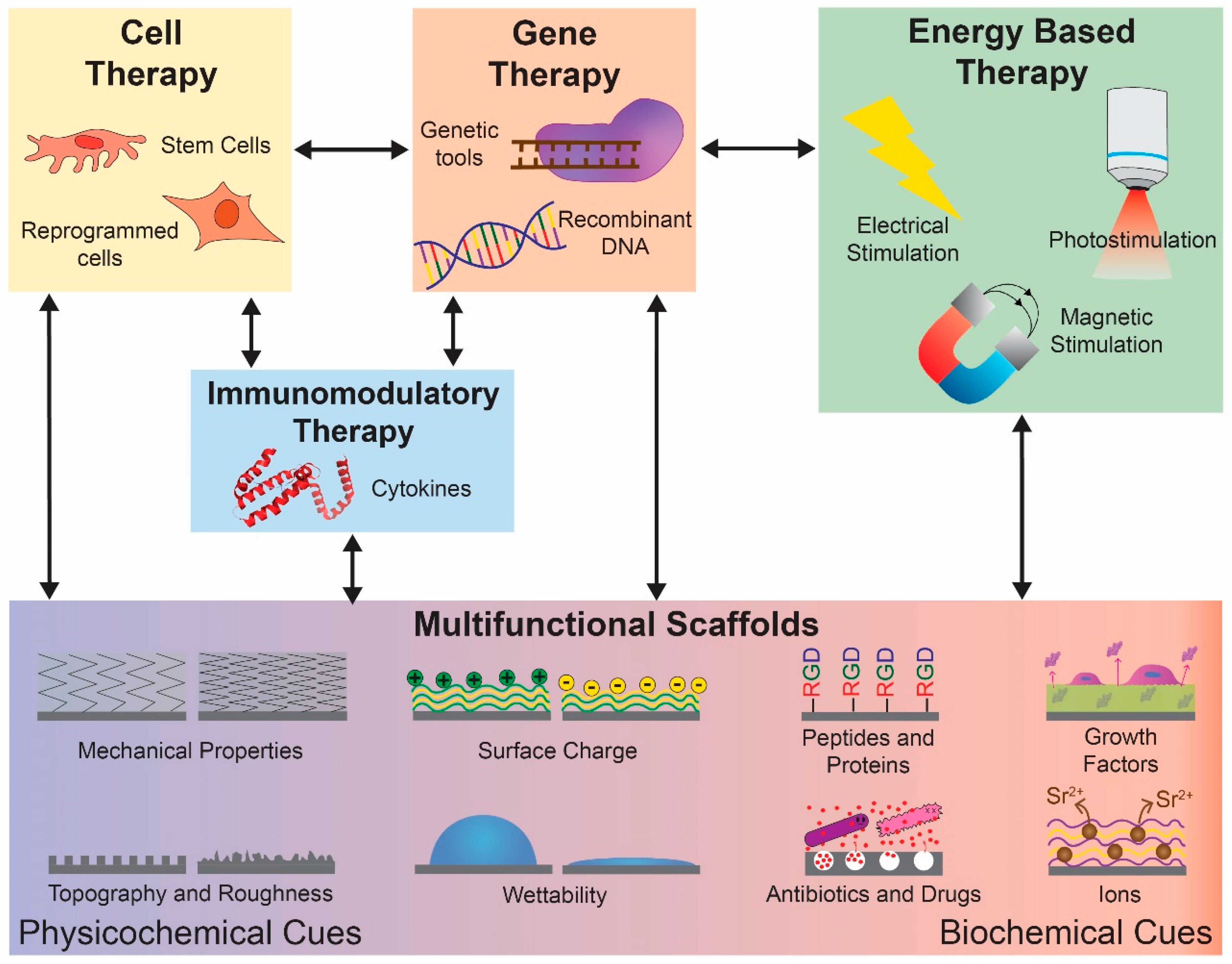 Pharmaceutics 13 00792 sch001