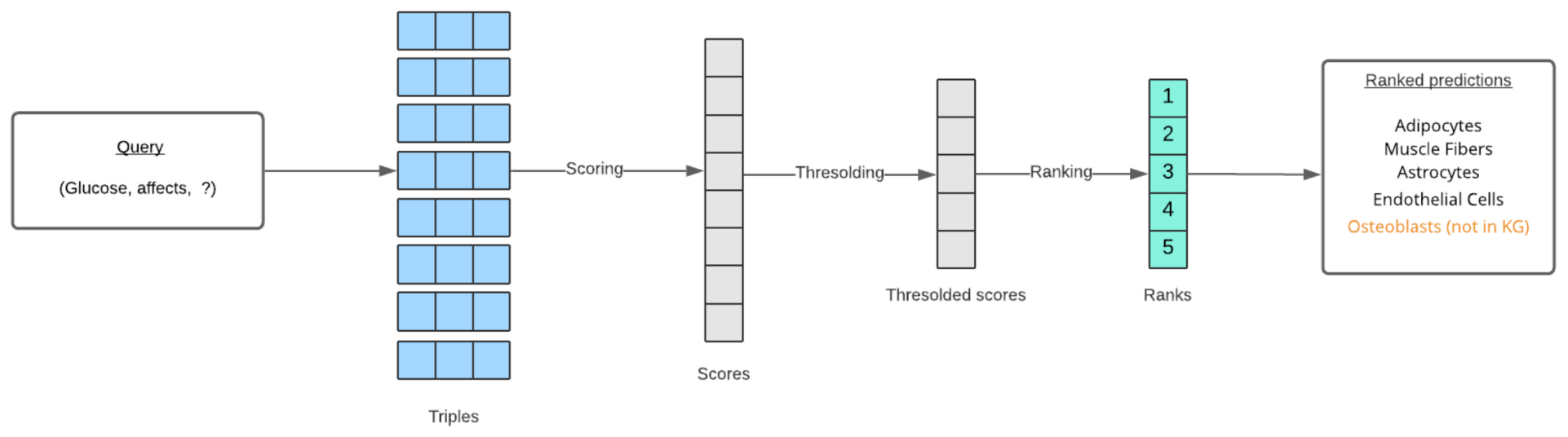 Pharmaceutics 13 00794 g008