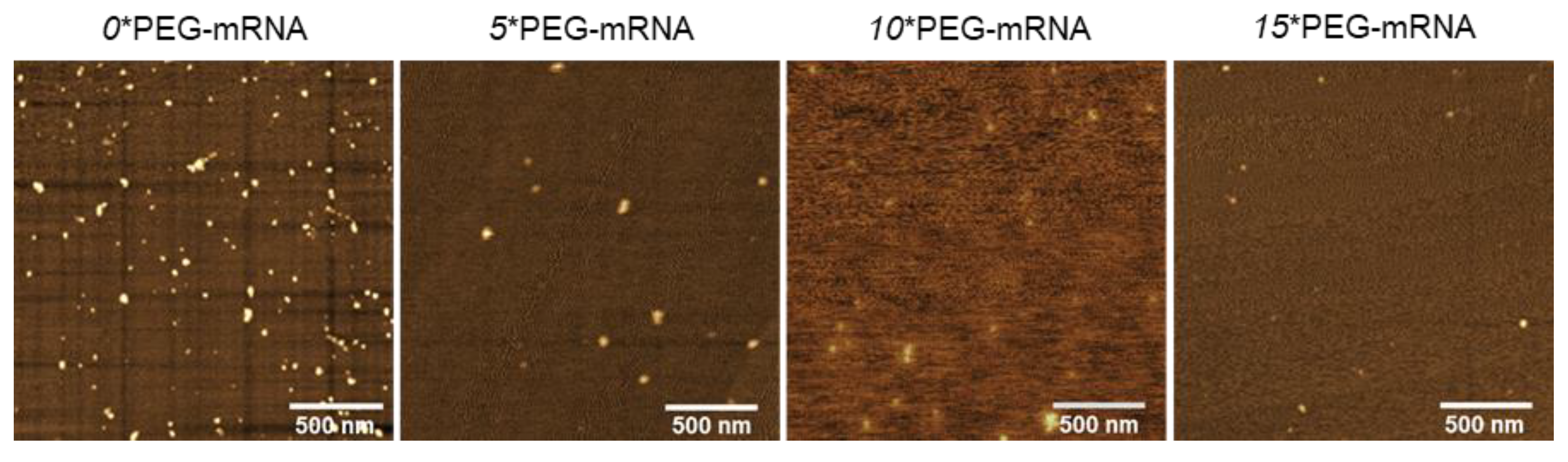 Pharmaceutics 13 00800 g003 Pharmaceutics 13 00800 g003