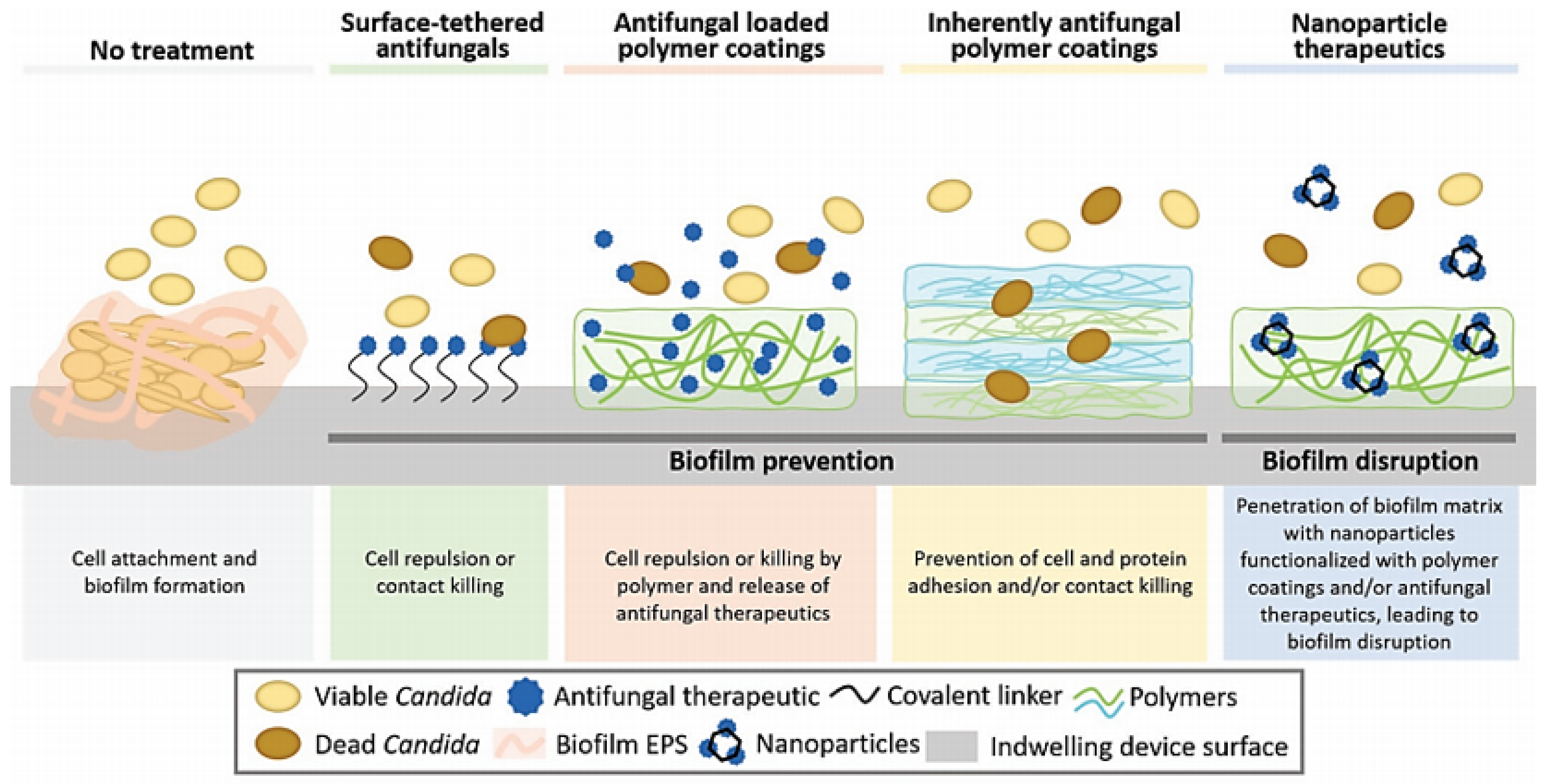 Pharmaceutics 13 00803 g004