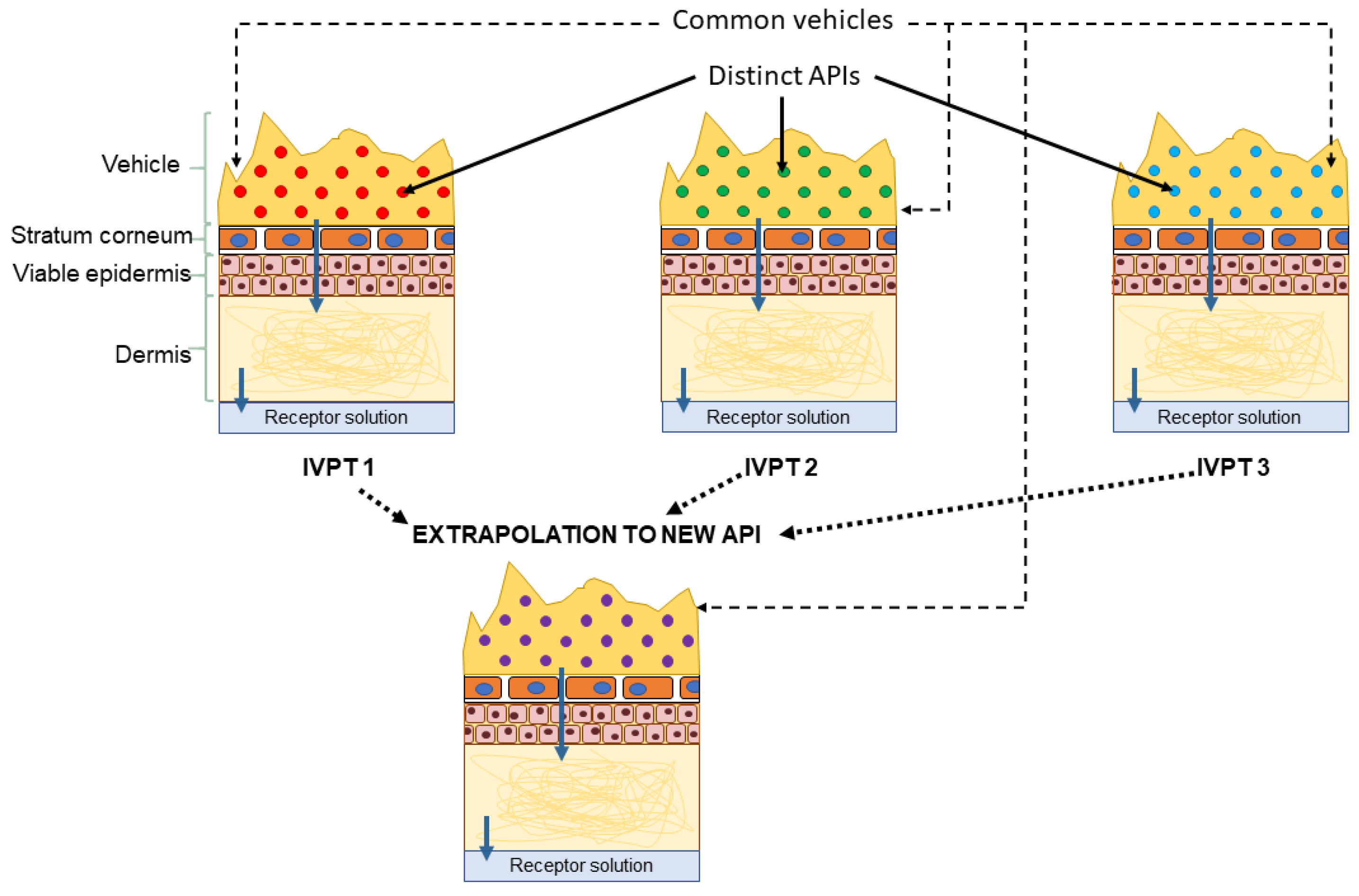 Pharmaceutics 13 00807 g007 Pharmaceutics 13 00807 g007