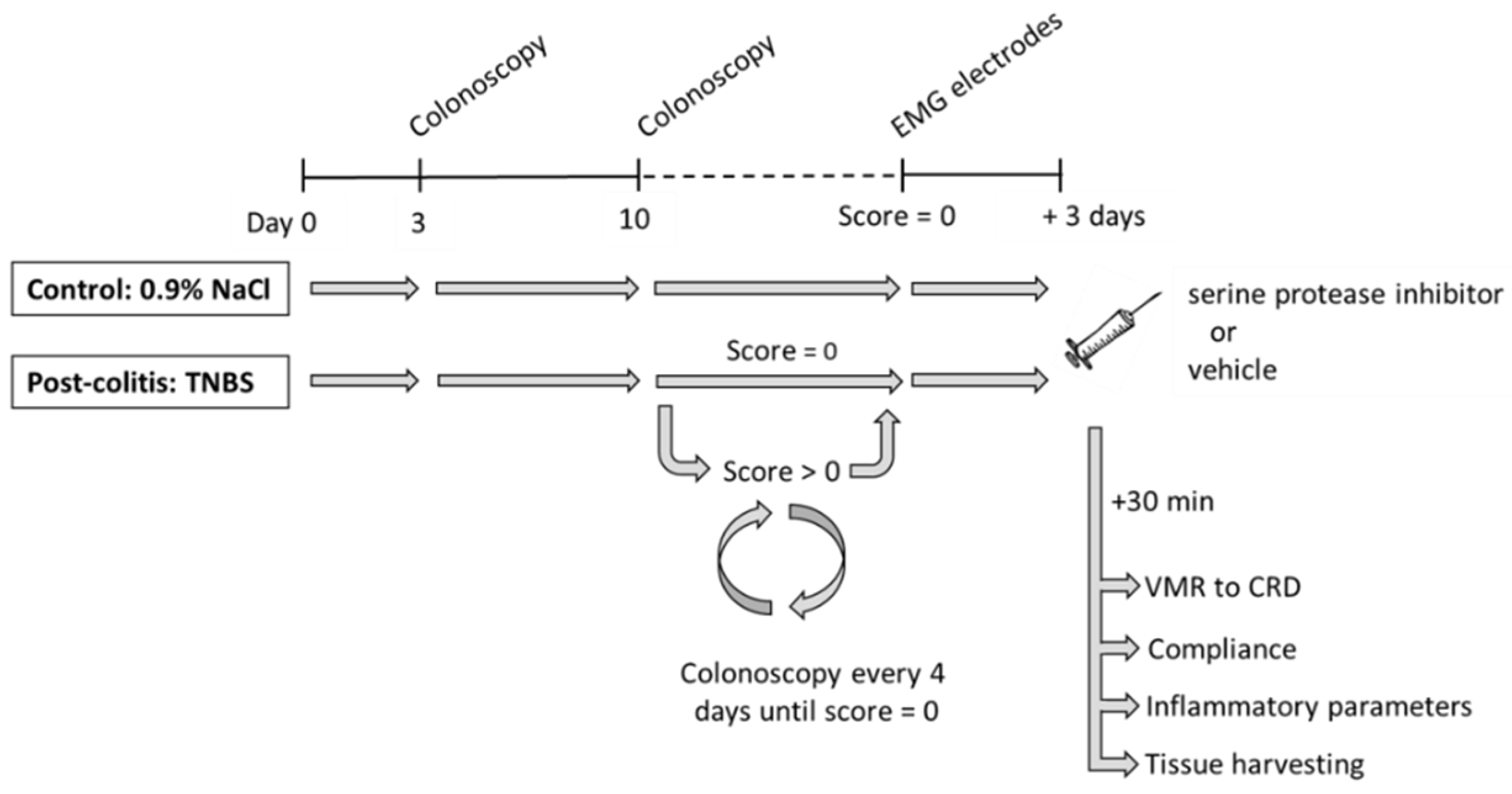 Pharmaceutics 13 00811 g001 Pharmaceutics 13 00811 g001