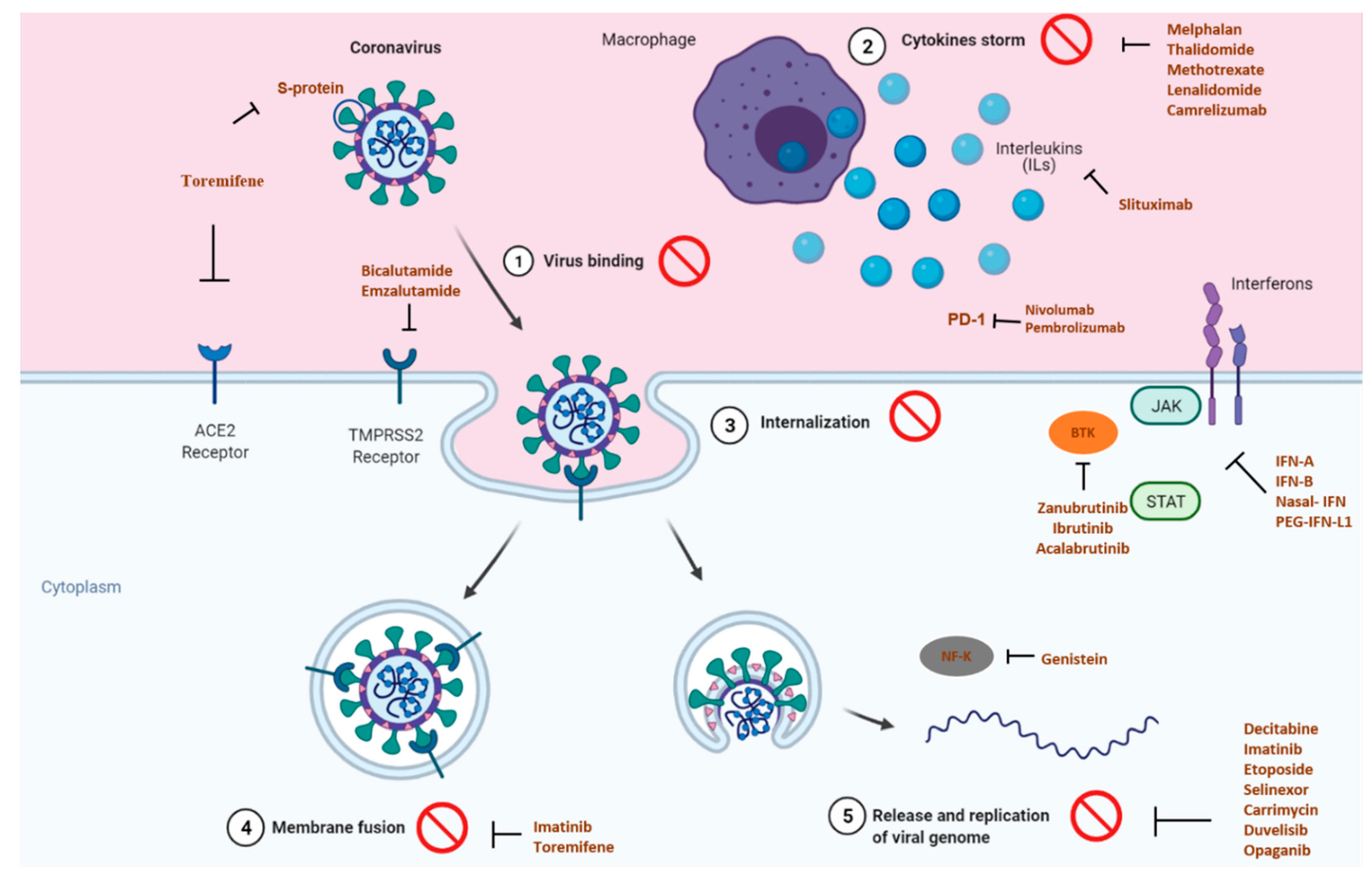 Pharmaceutics 13 00815 g001
