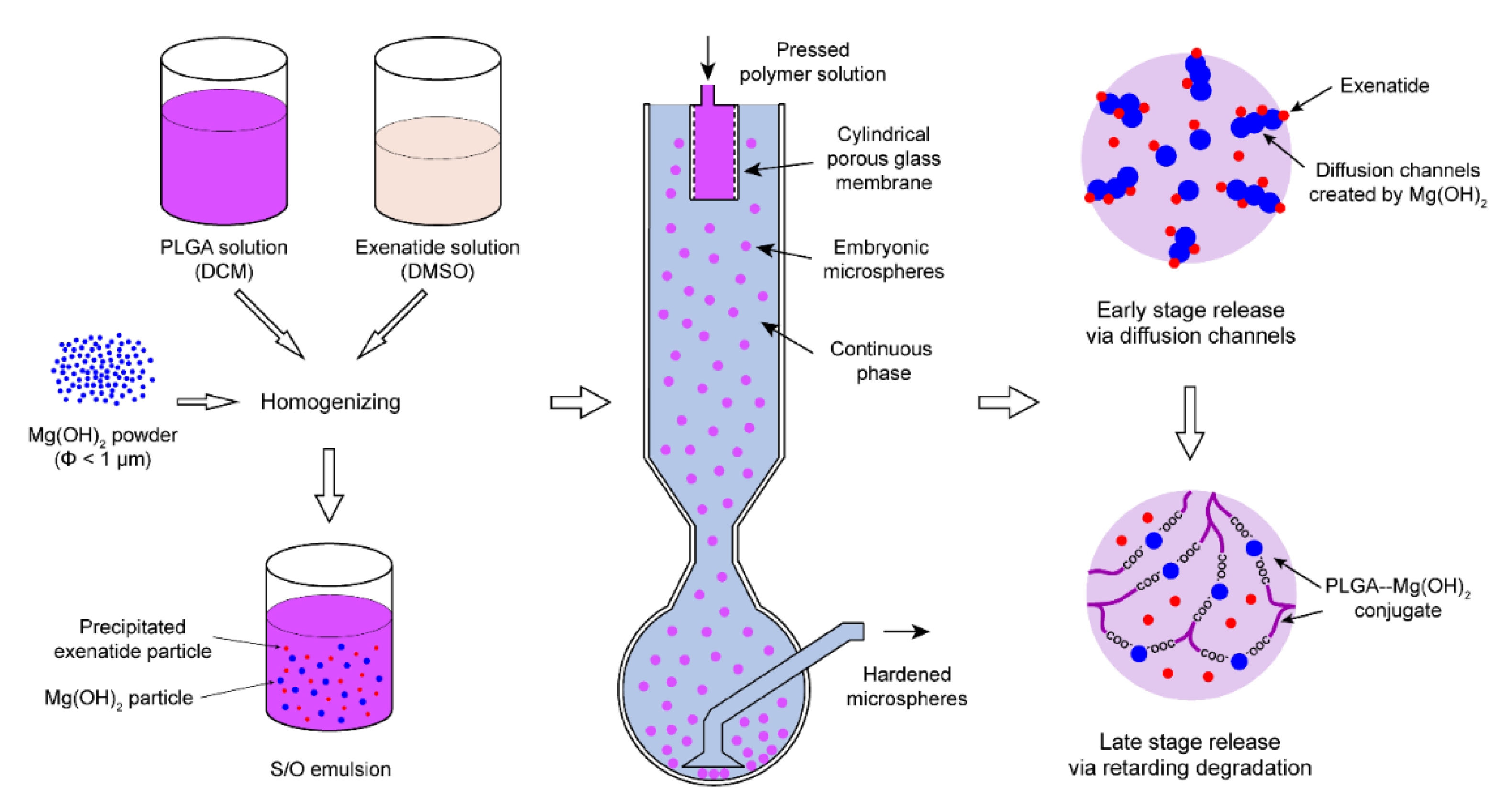 Pharmaceutics 13 00816 g001 Pharmaceutics 13 00816 g001