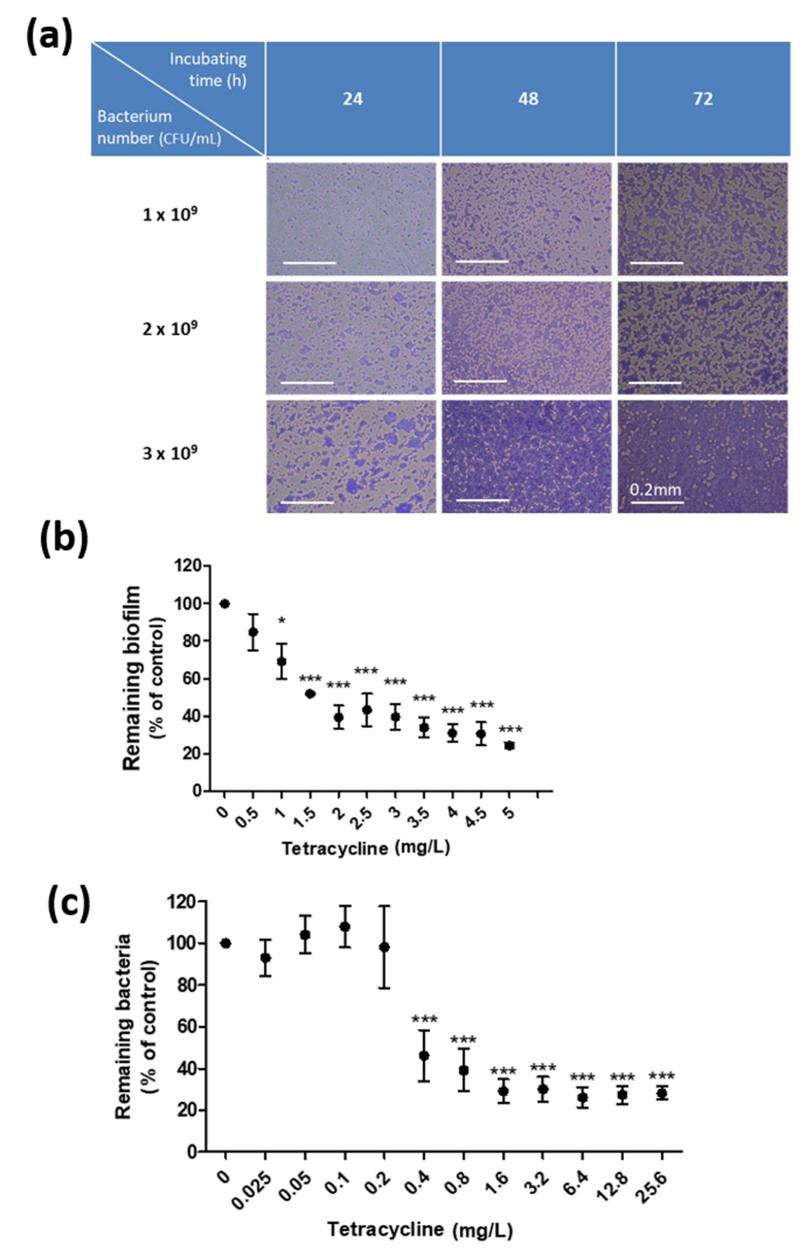 Pharmaceutics 13 00819 g001 Pharmaceutics 13 00819 g001