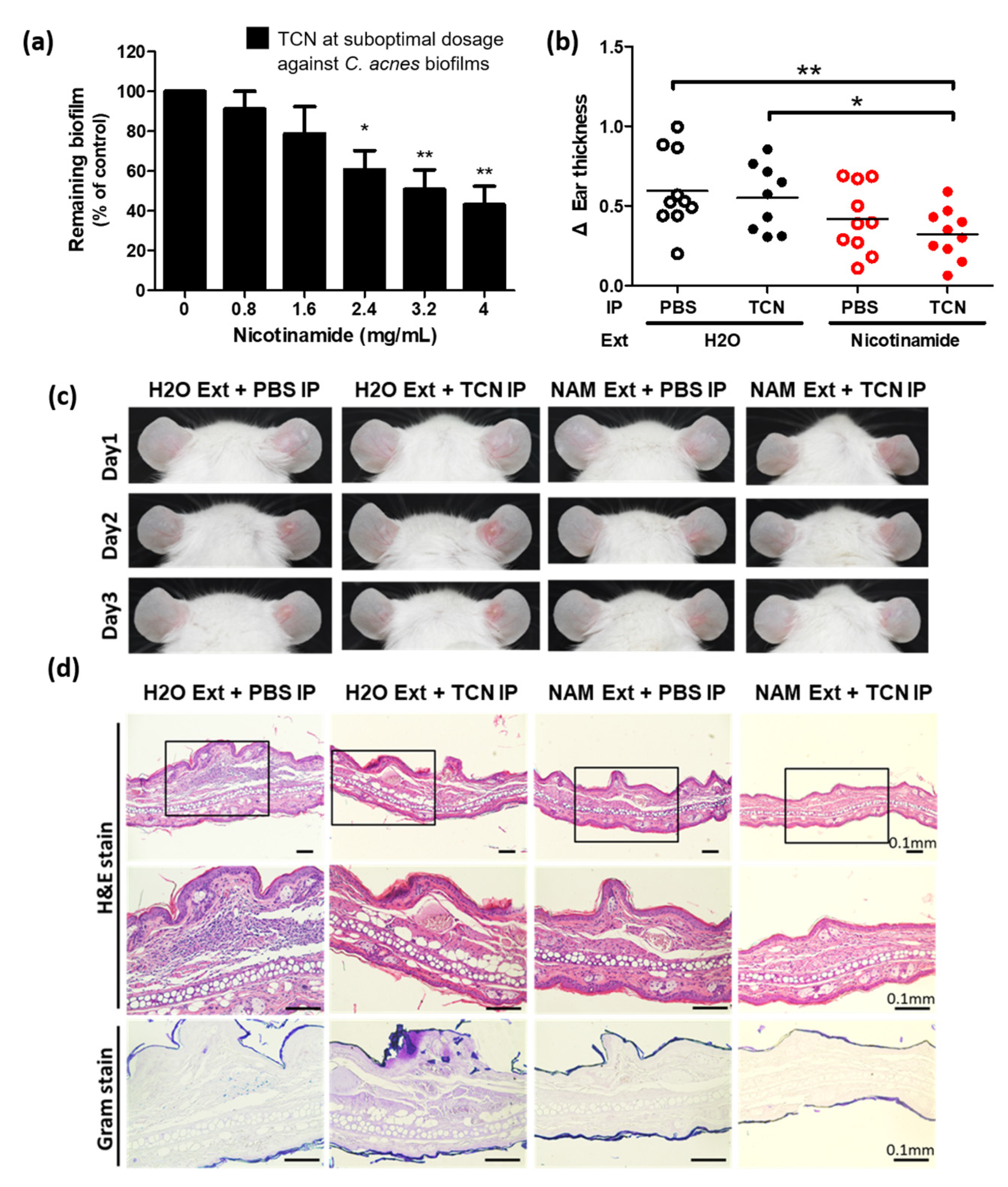 Pharmaceutics 13 00819 g002 Pharmaceutics 13 00819 g002