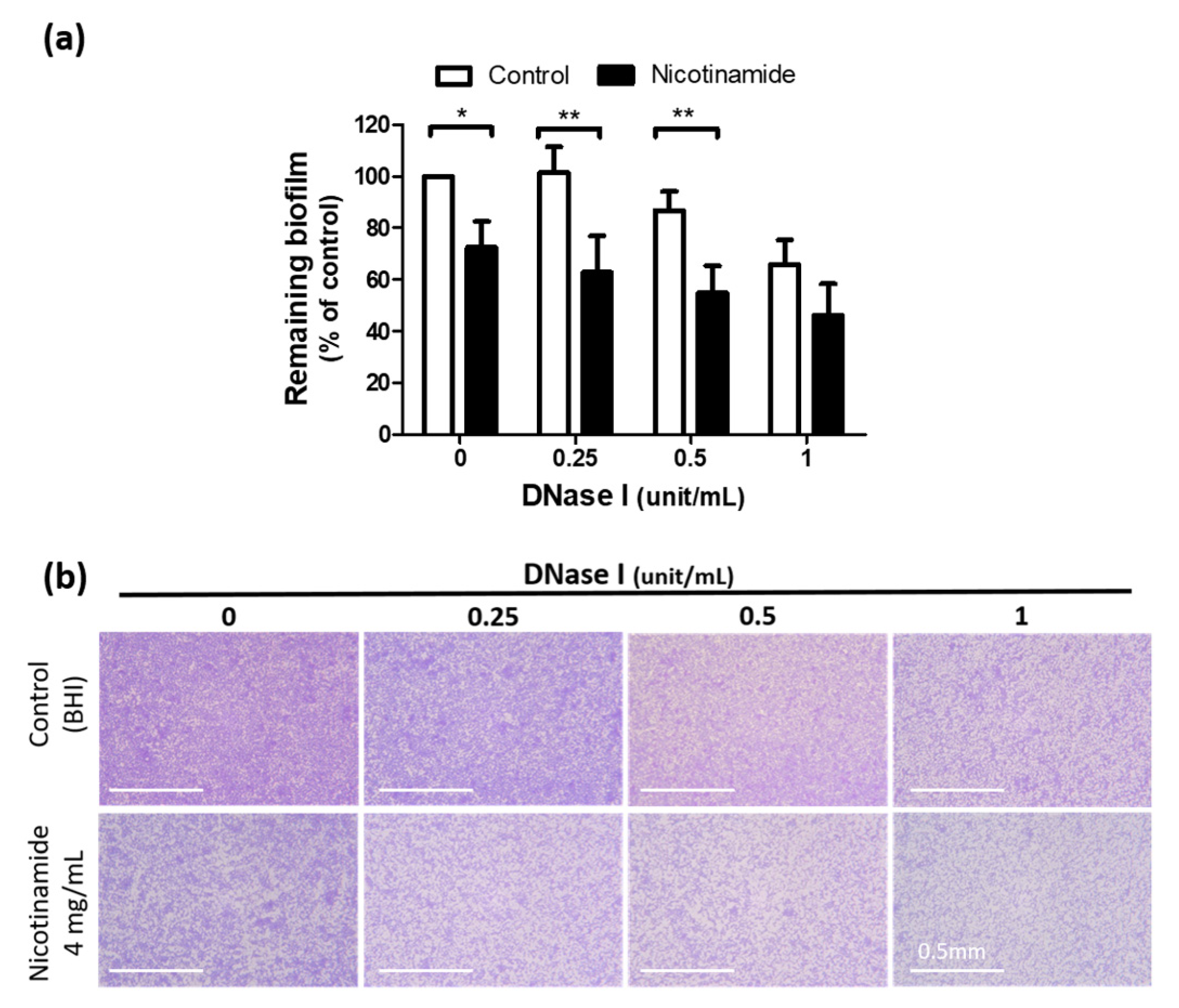 Pharmaceutics 13 00819 g005 Pharmaceutics 13 00819 g005