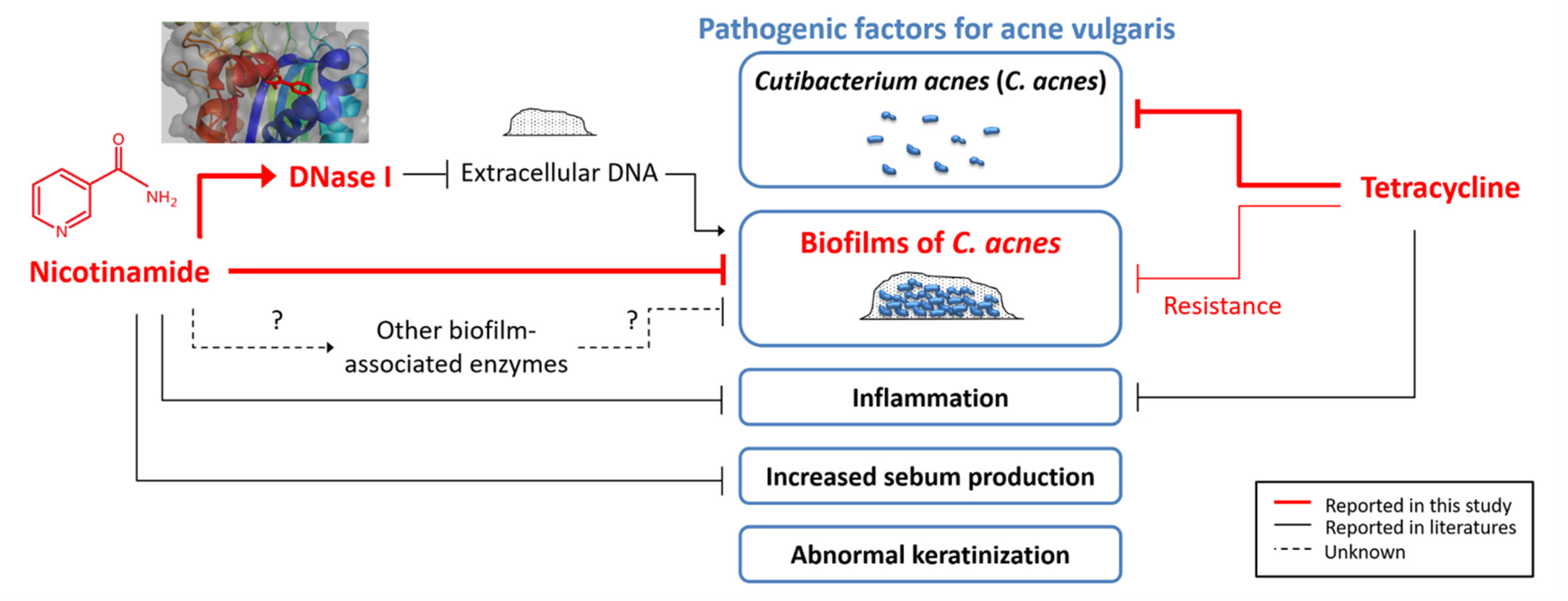 Pharmaceutics 13 00819 g007 Pharmaceutics 13 00819 g007