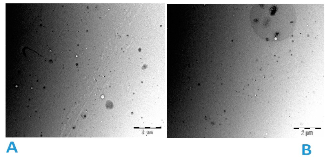 Pharmaceutics 13 00821 g002