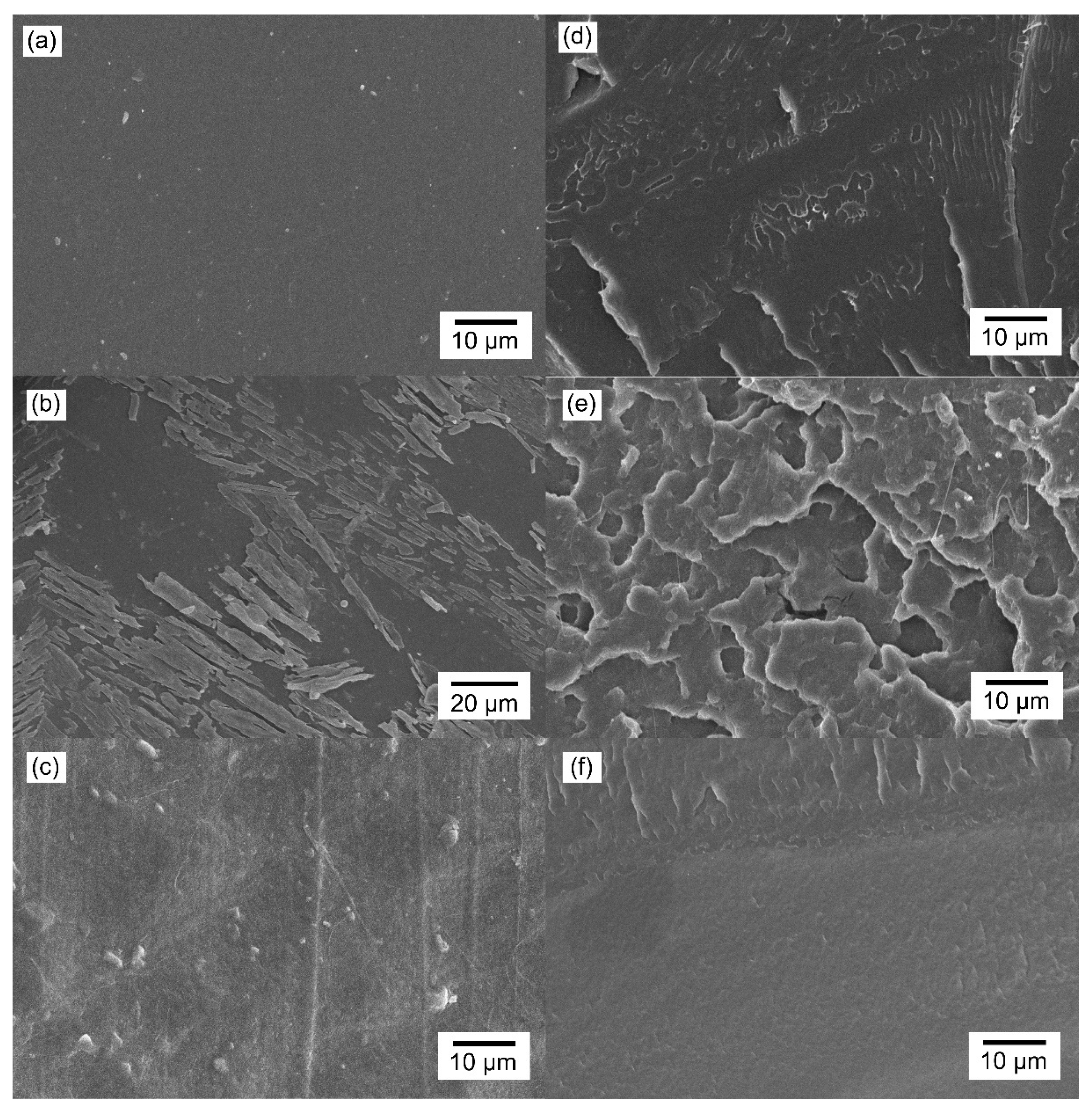 Pharmaceutics 13 00824 g004 Pharmaceutics 13 00824 g004