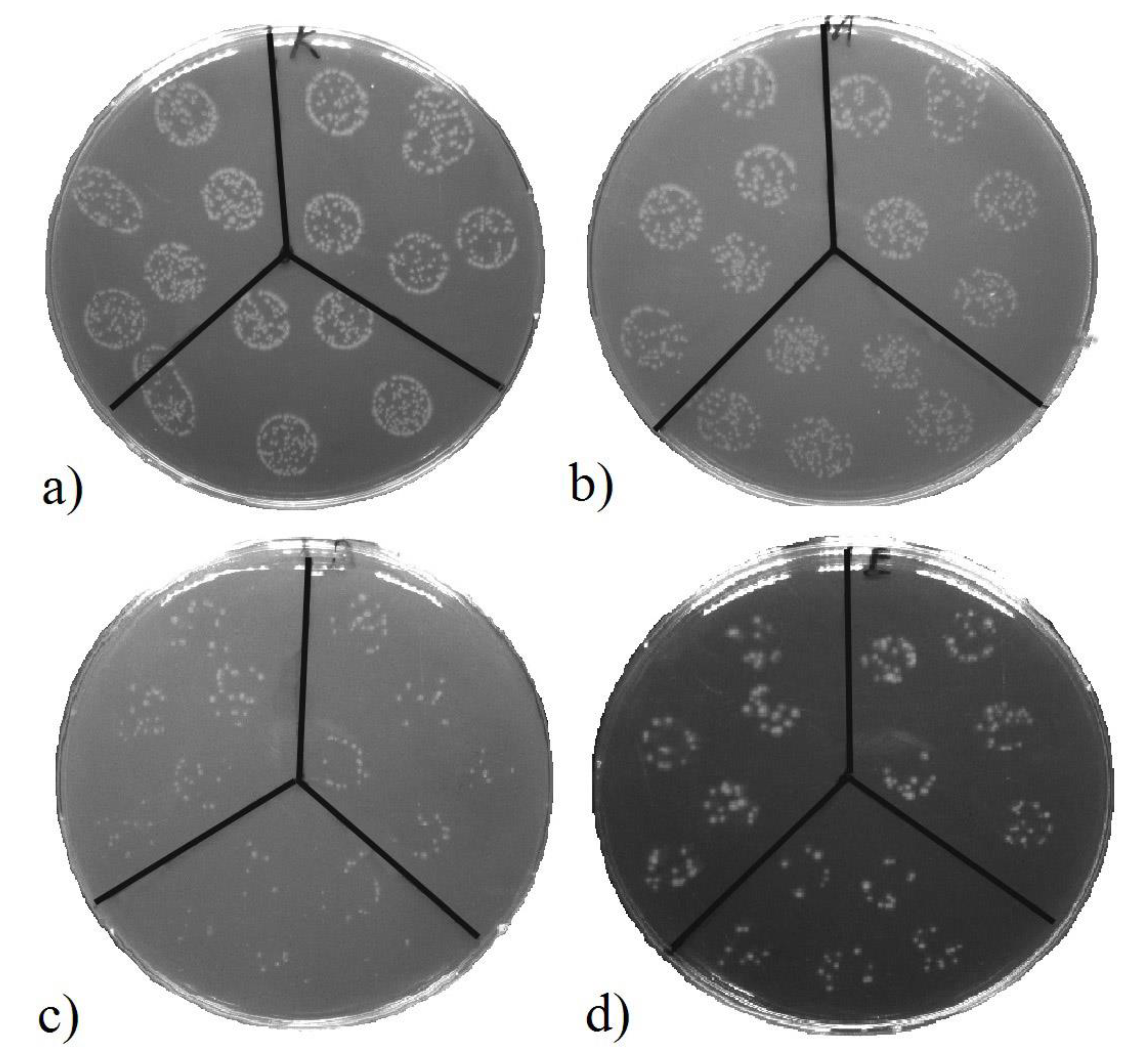 Pharmaceutics 13 00826 g013 Pharmaceutics 13 00826 g013