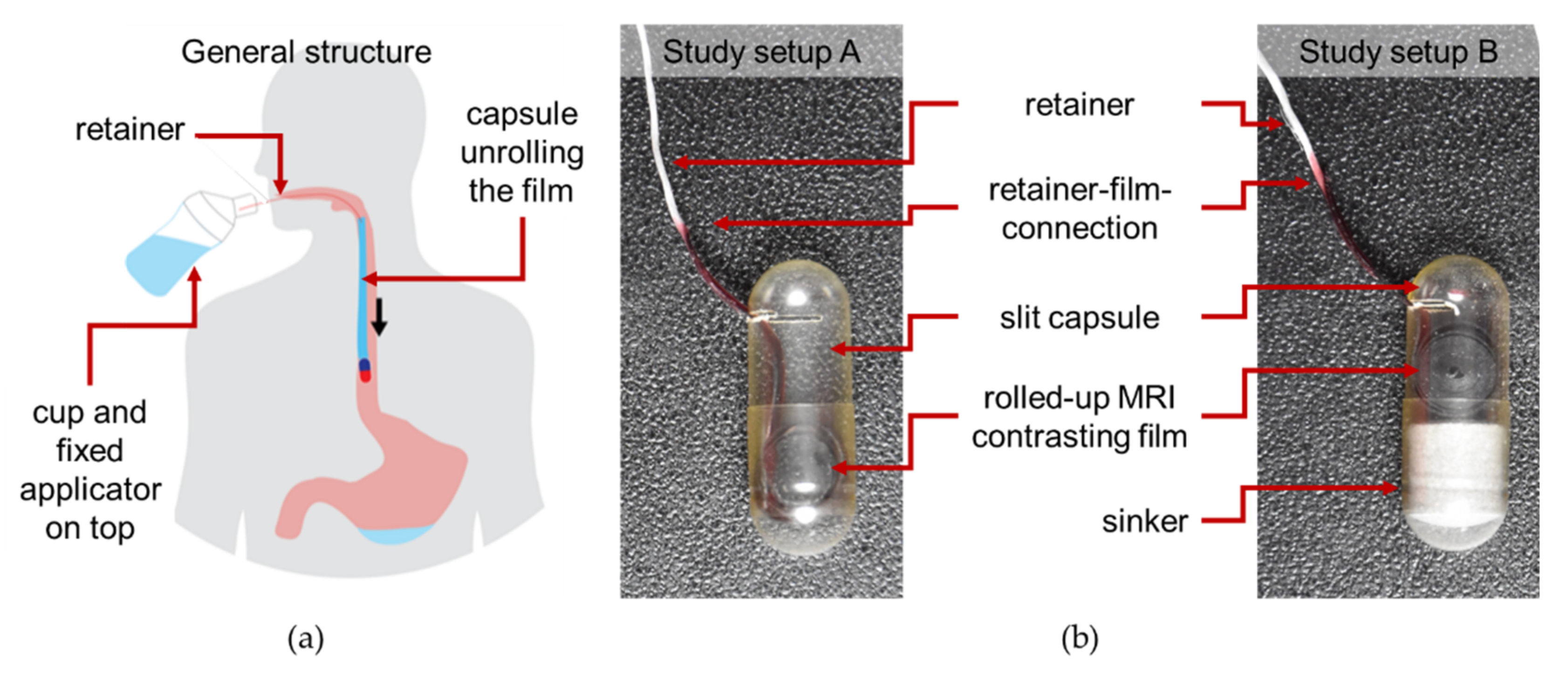 Pharmaceutics 13 00828 g001