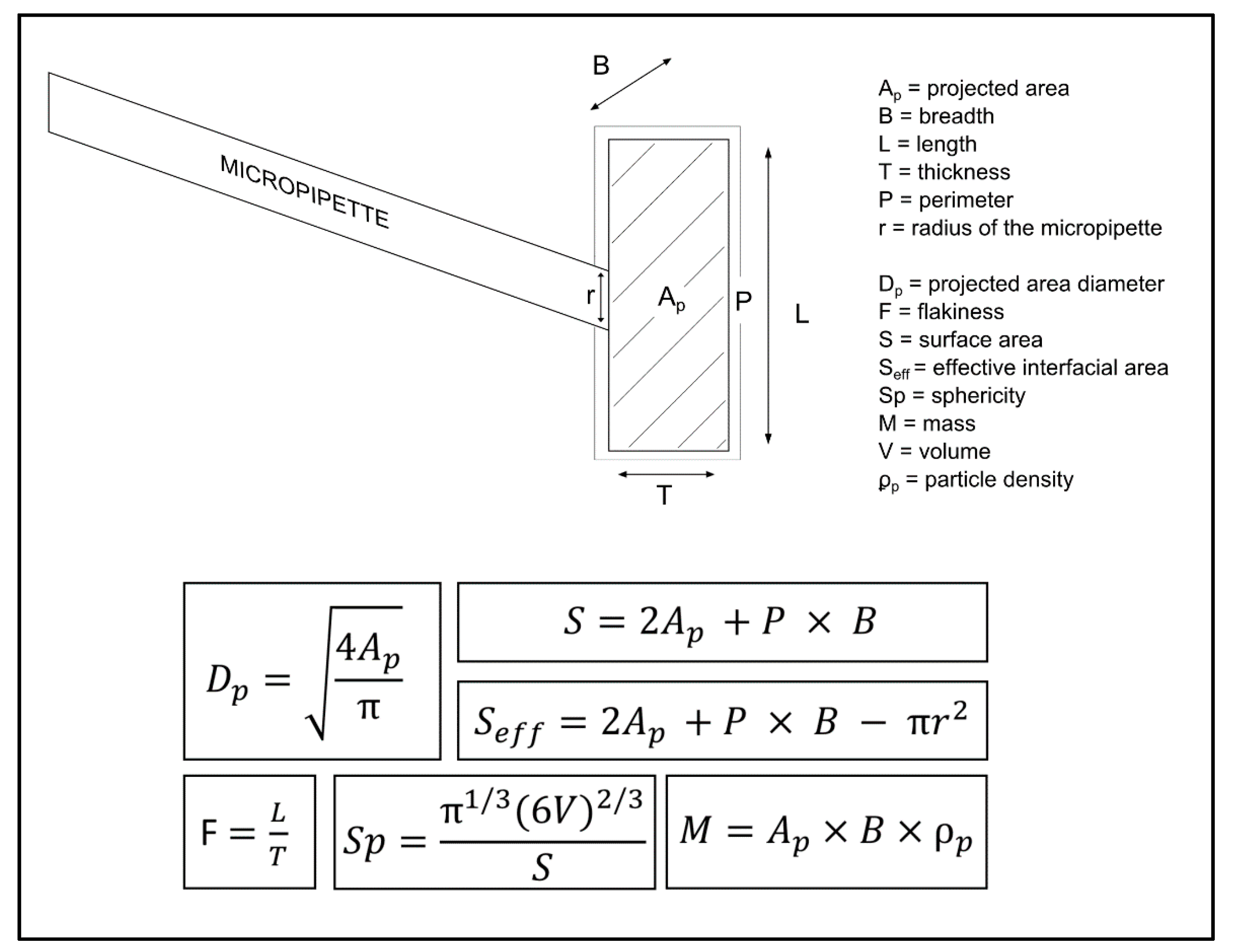 Pharmaceutics 13 00835 g002