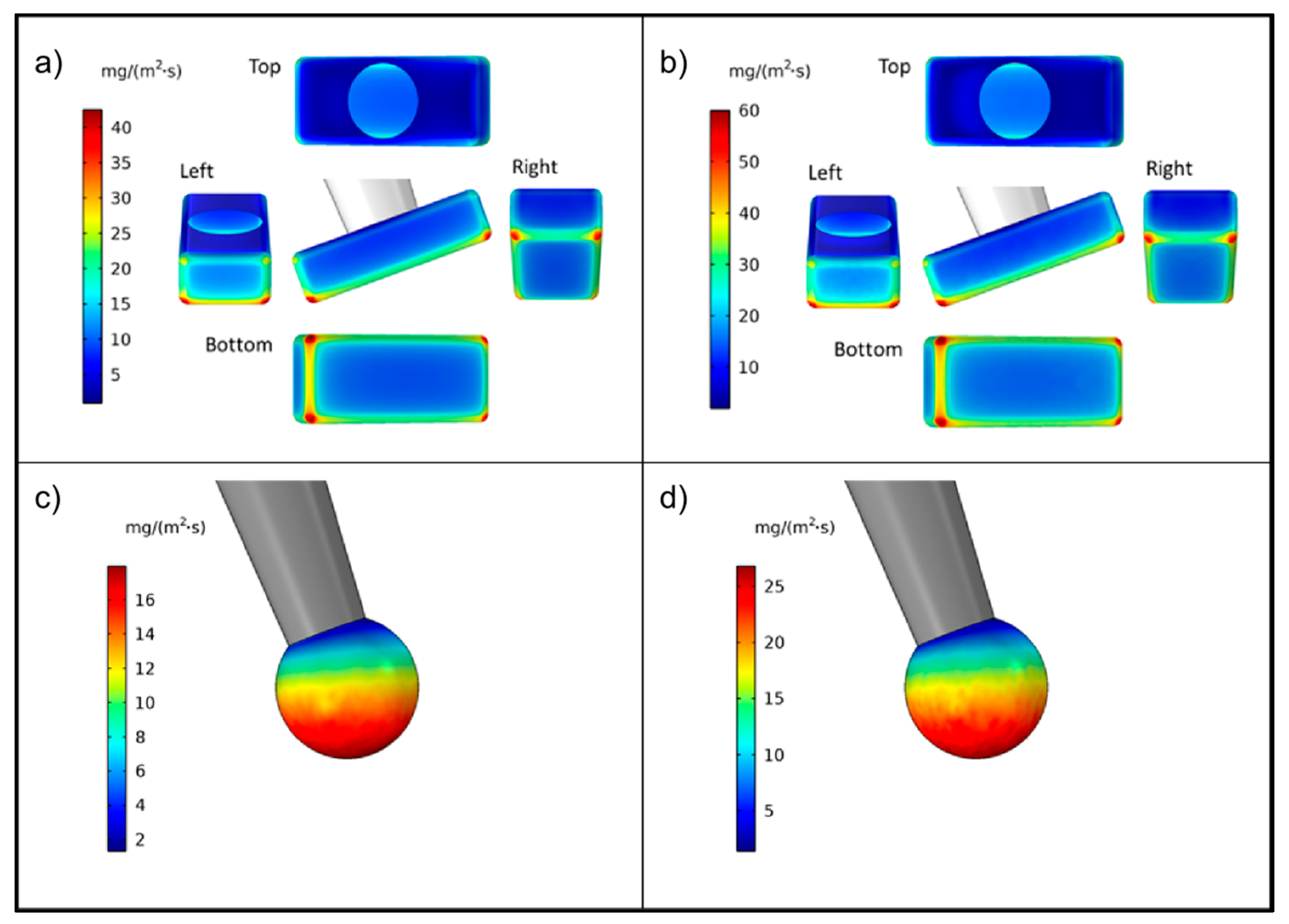 Pharmaceutics 13 00835 g007