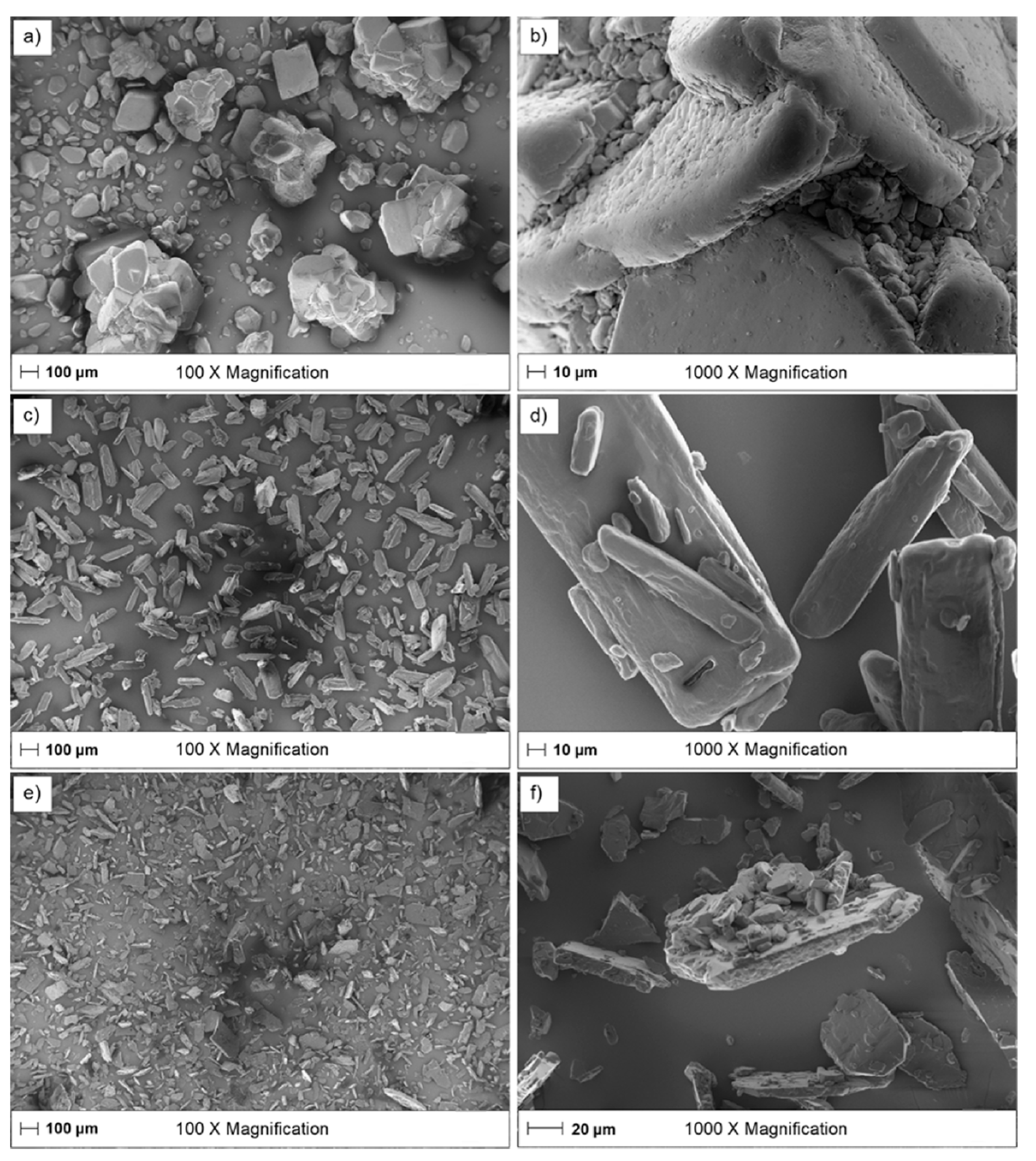 Pharmaceutics 13 00835 g009