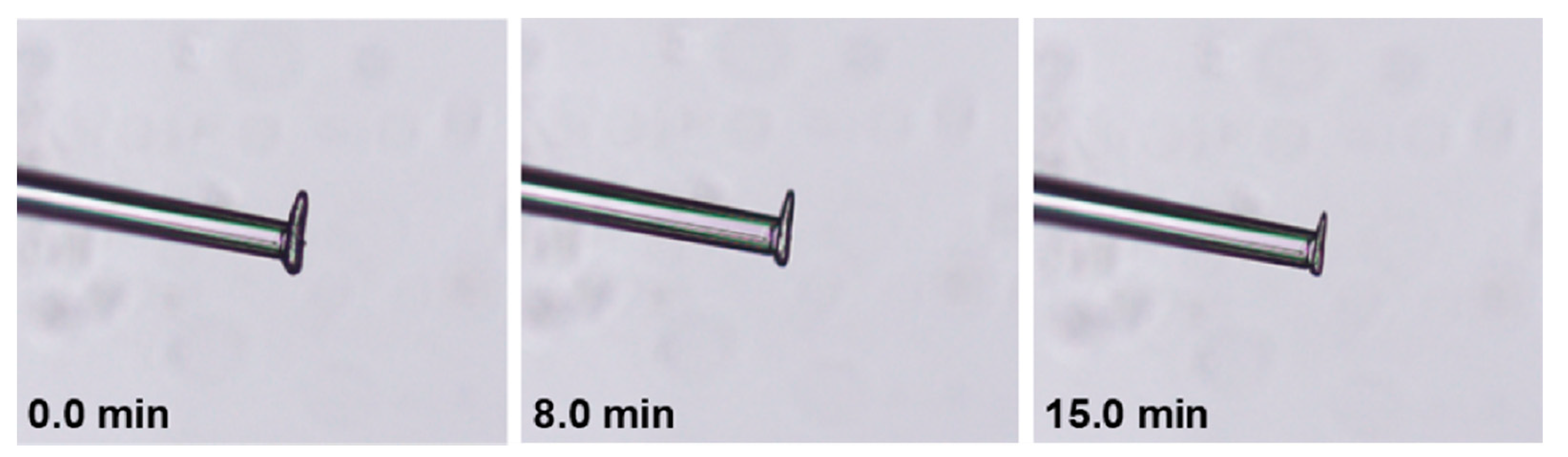 Pharmaceutics 13 00835 g010