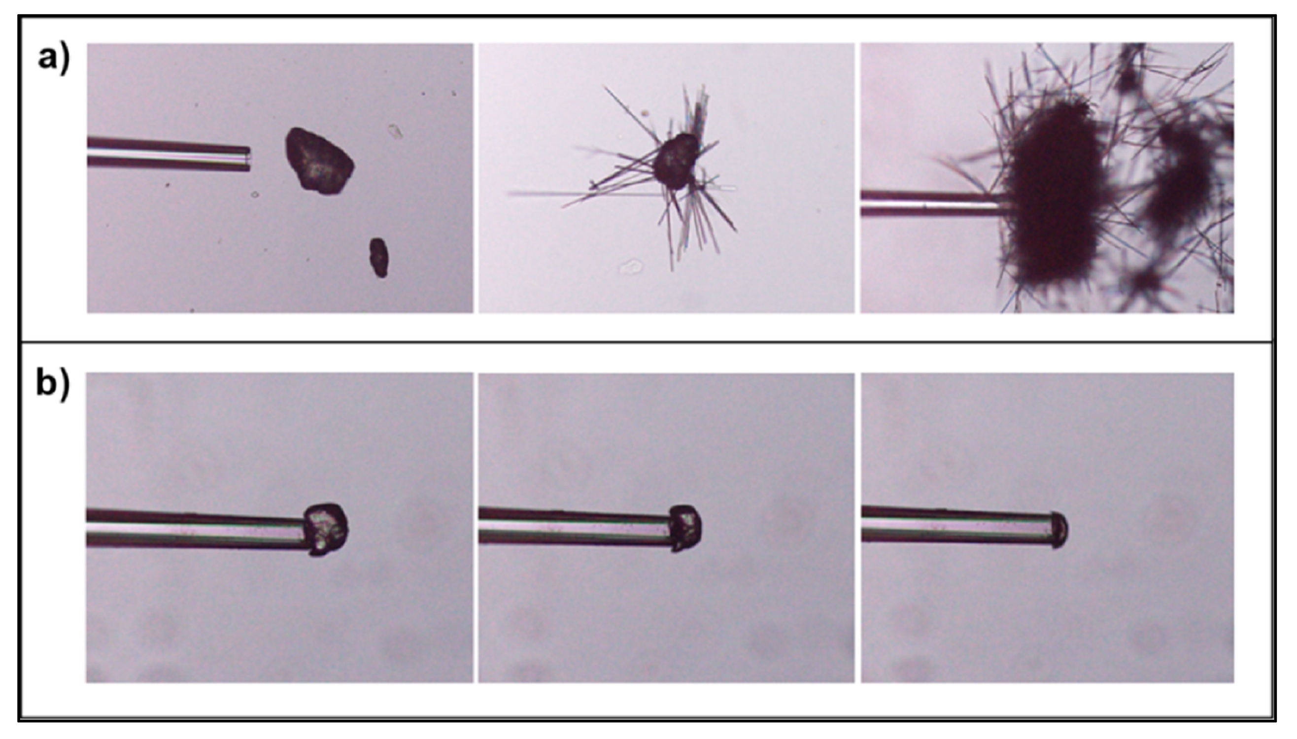 Pharmaceutics 13 00835 g013