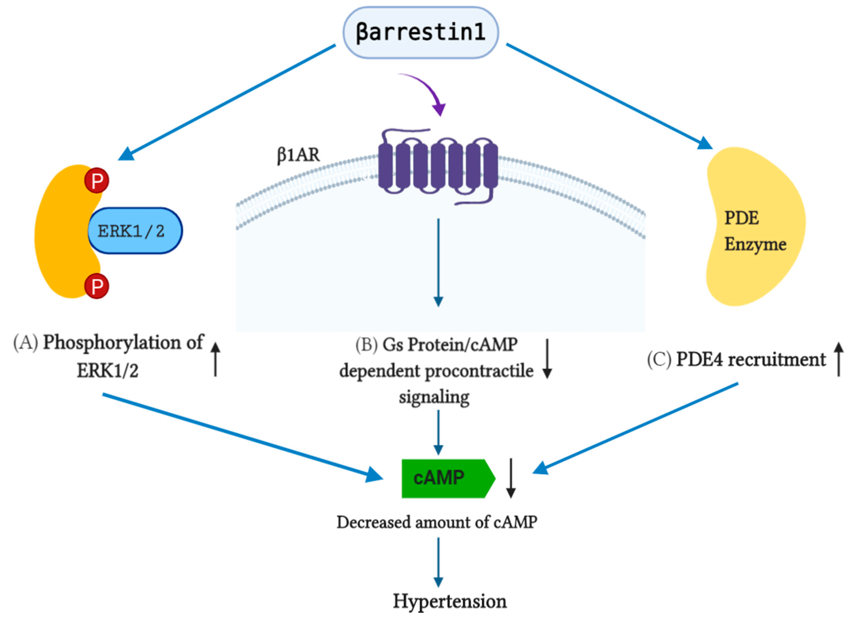 Pharmaceutics 13 00838 g003 Pharmaceutics 13 00838 g003