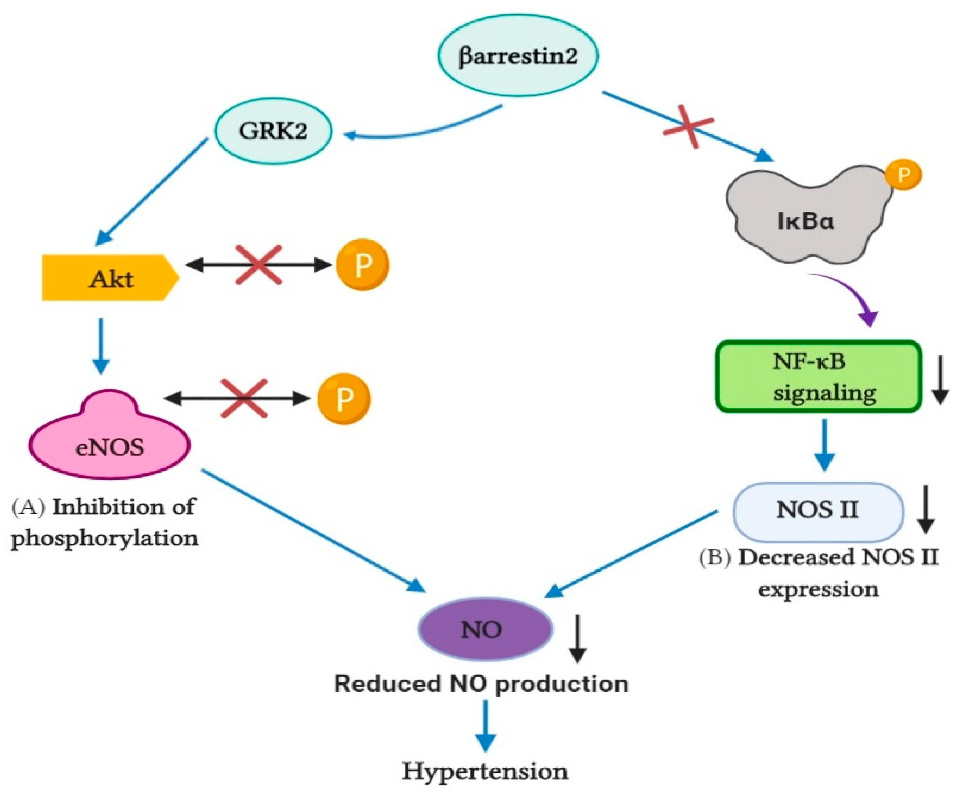 Pharmaceutics 13 00838 g004 Pharmaceutics 13 00838 g004