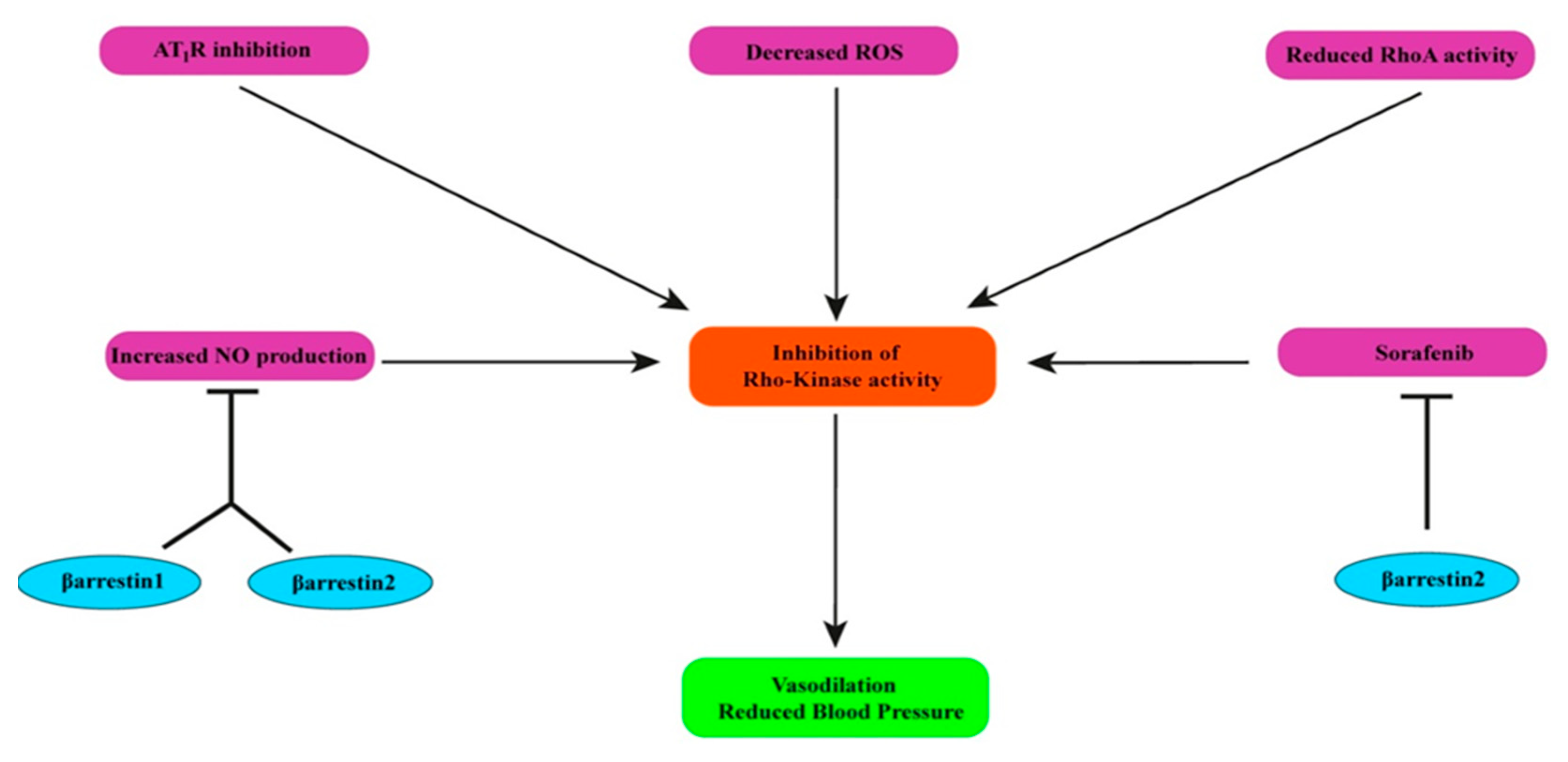 Pharmaceutics 13 00838 g006 Pharmaceutics 13 00838 g006