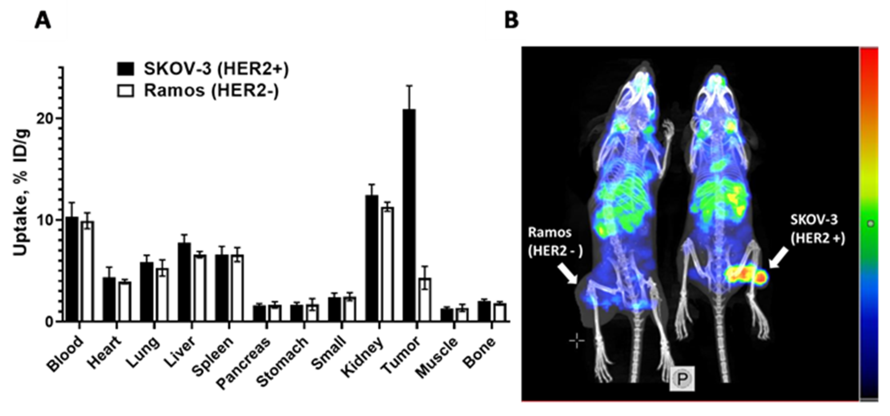 Pharmaceutics 13 00839 g006