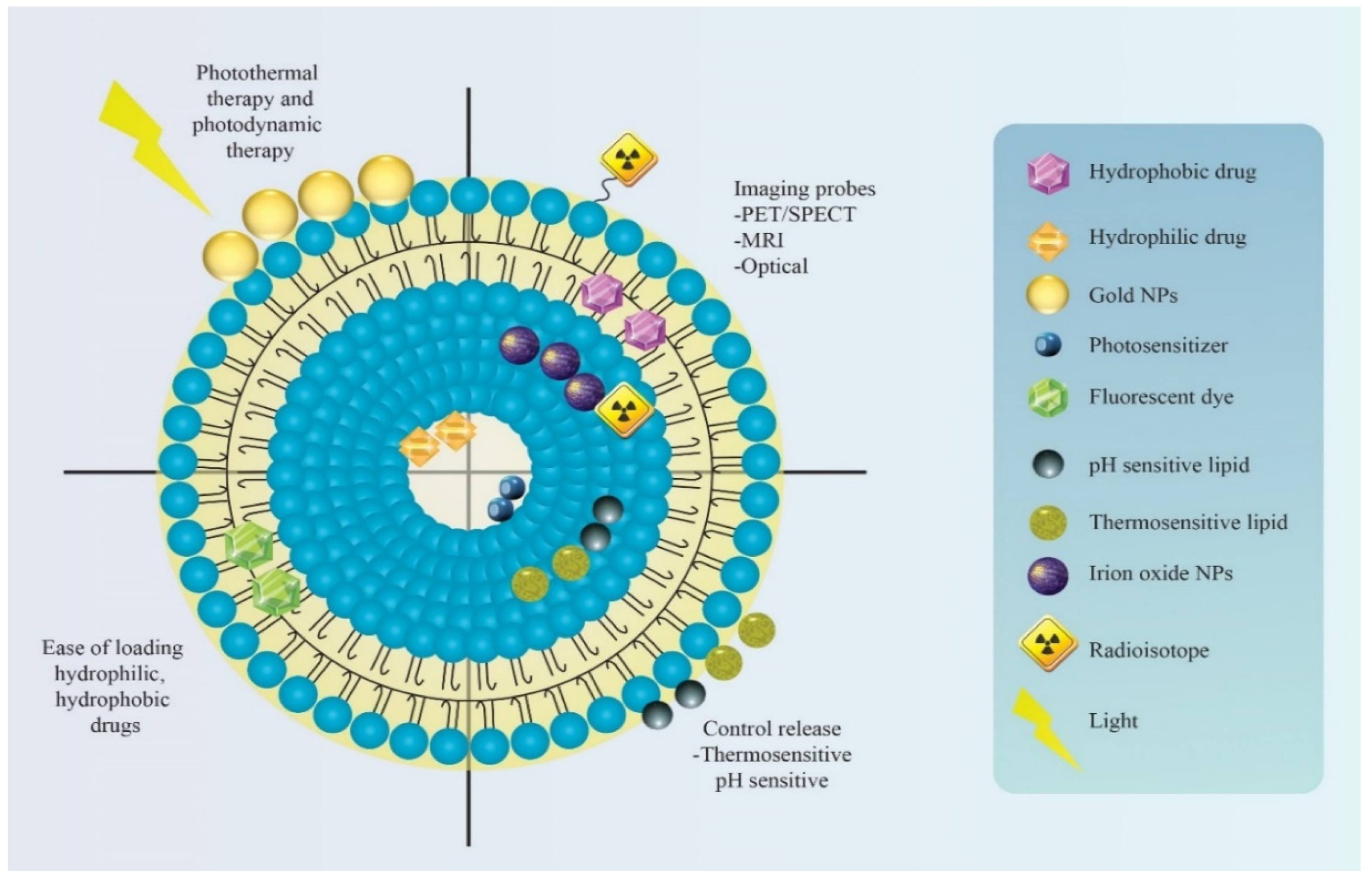 Pharmaceutics | Free Full-Text | Recent Progress in Lipid 