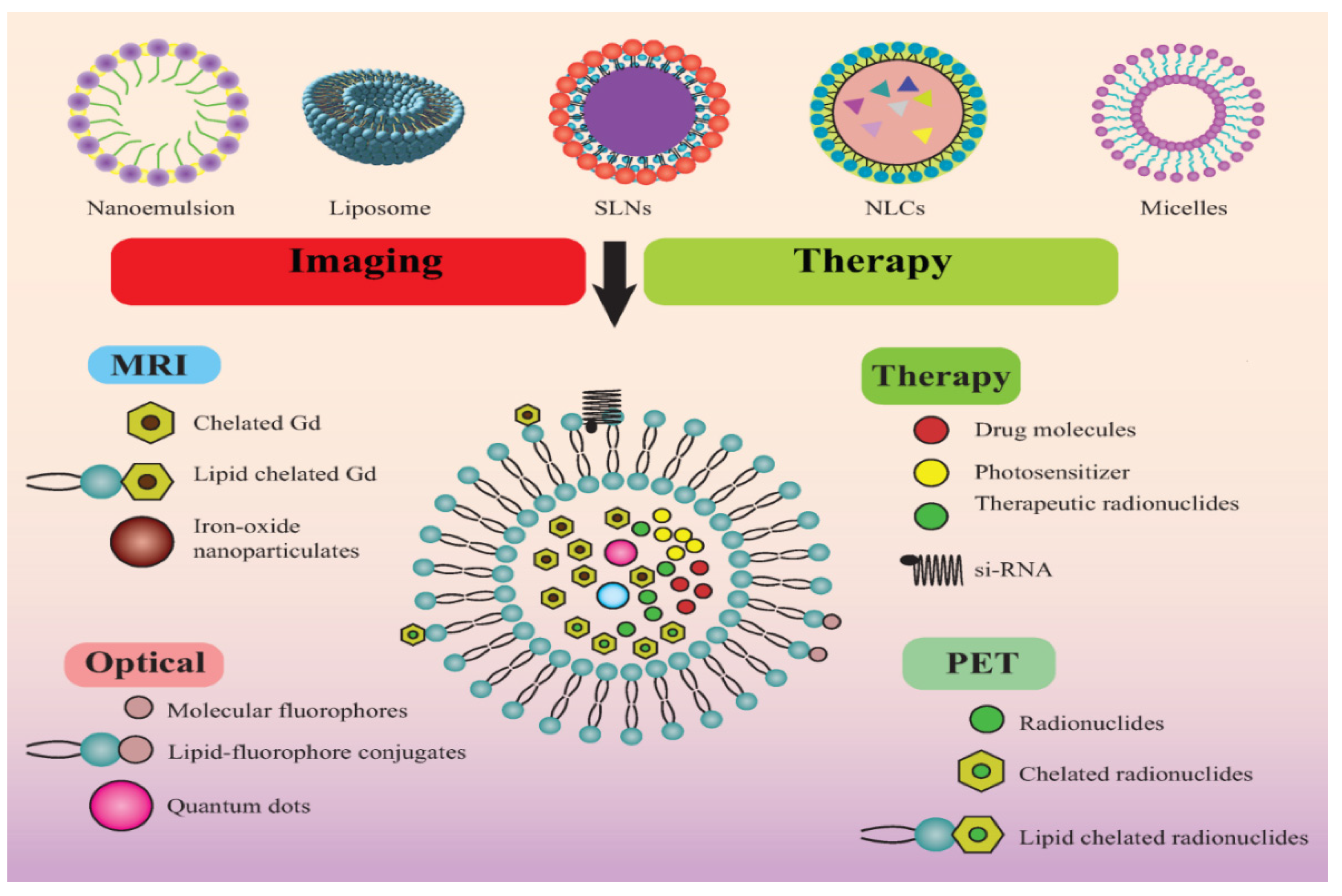 Pharmaceutics 13 00840 g004