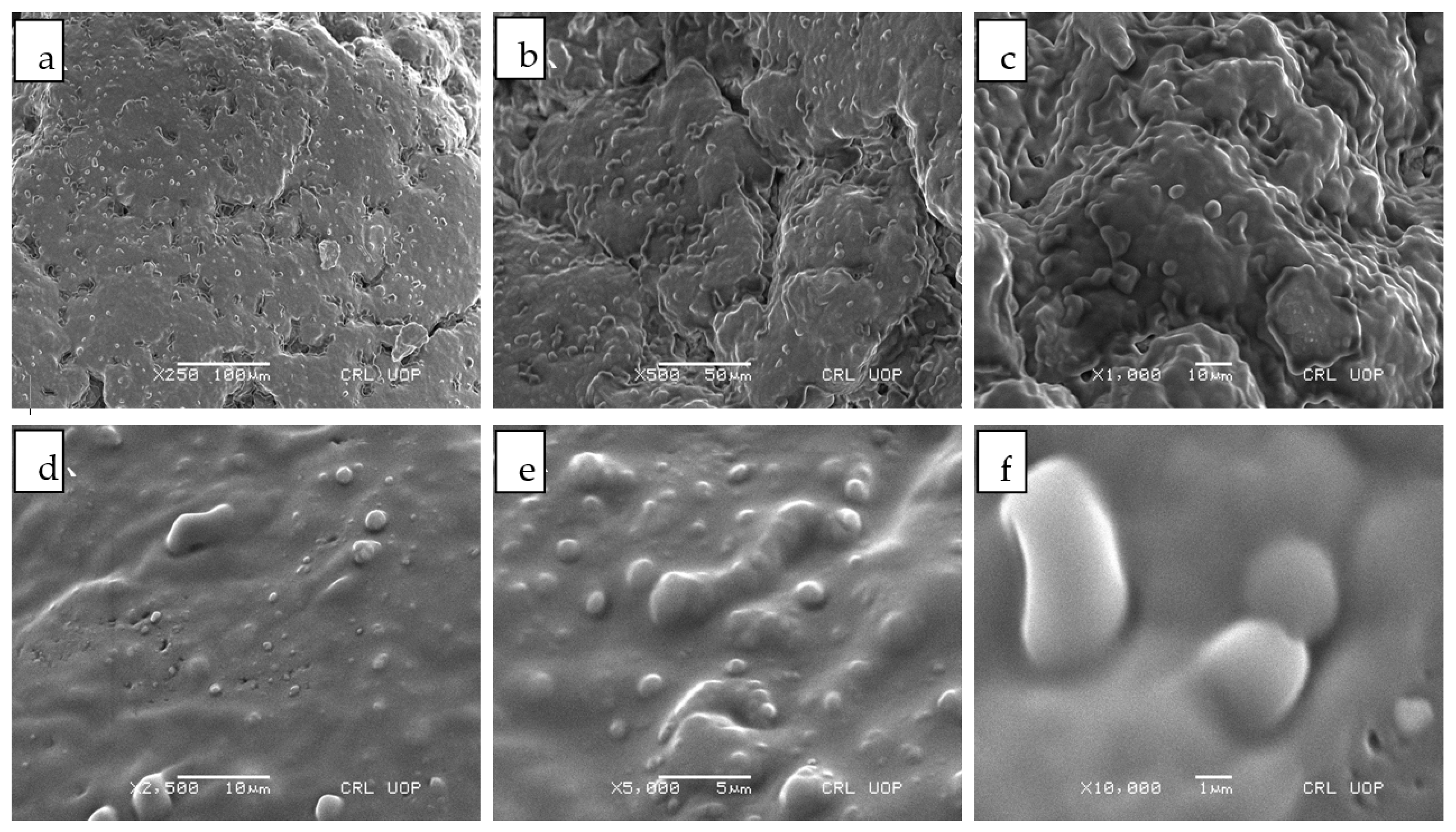 Pharmaceutics 13 00841 g002 Pharmaceutics 13 00841 g002