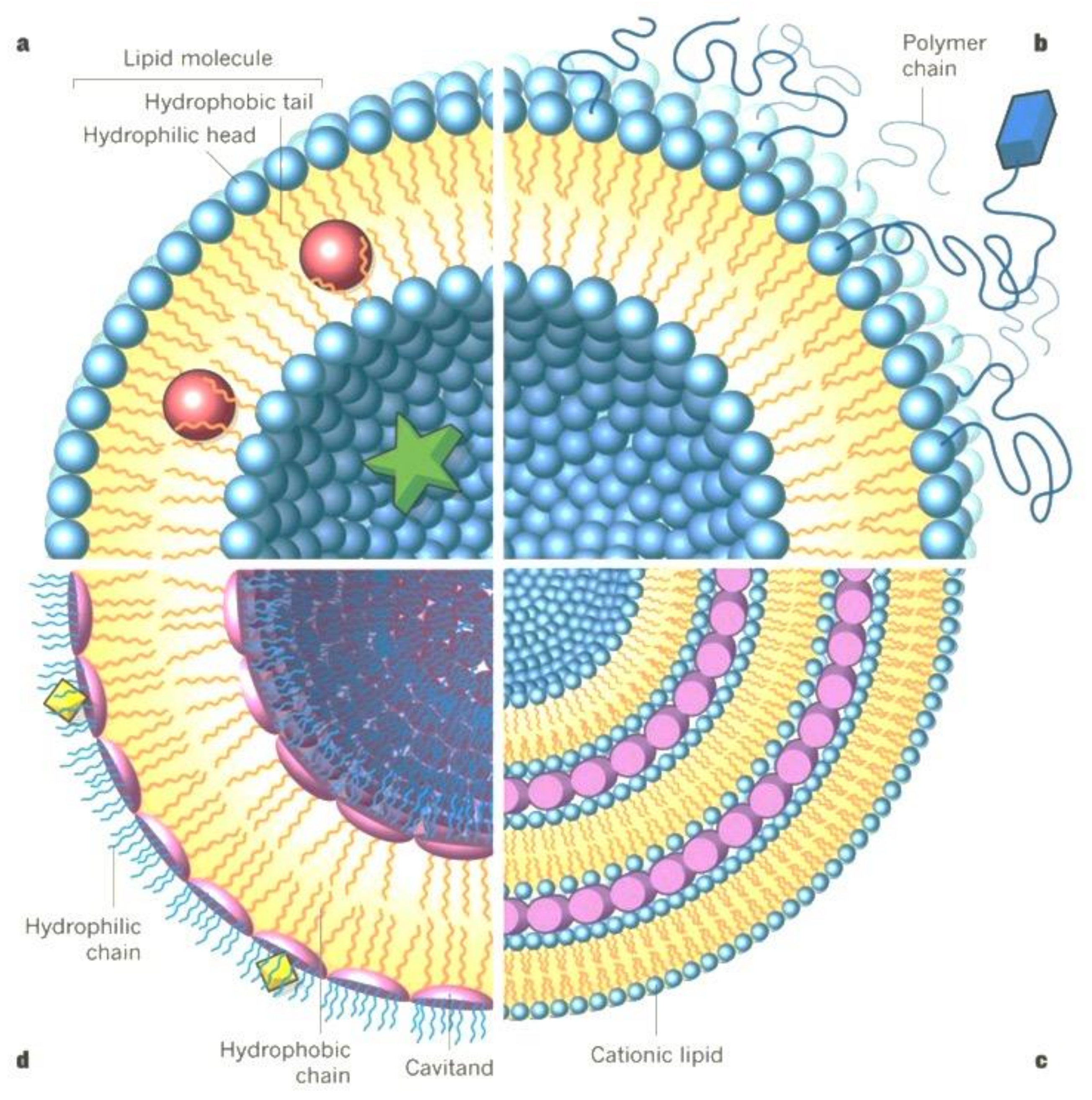 Pharmaceutics 13 00843 g002 Pharmaceutics 13 00843 g002