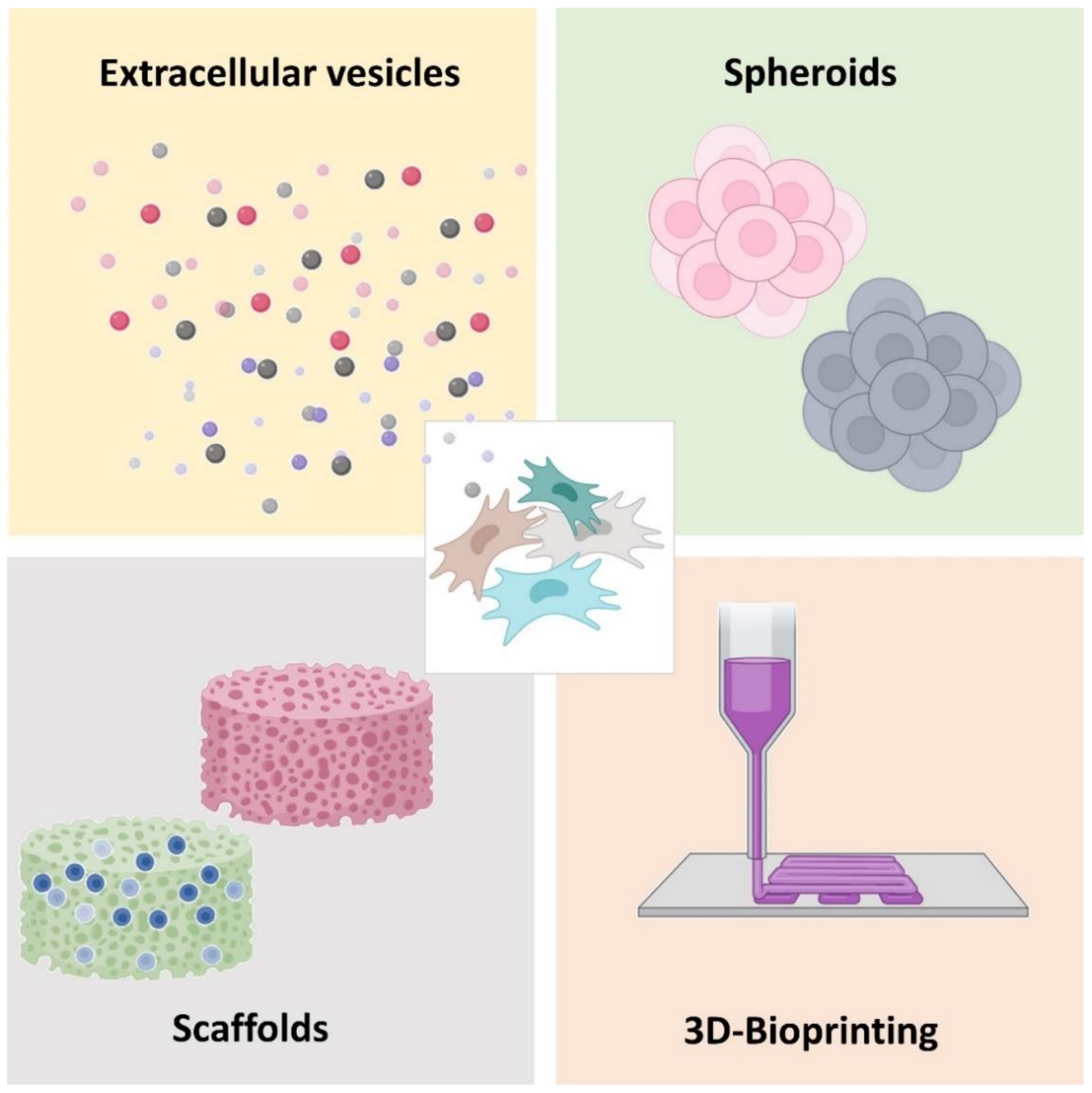 Pharmaceutics 13 00843 g003 Pharmaceutics 13 00843 g003