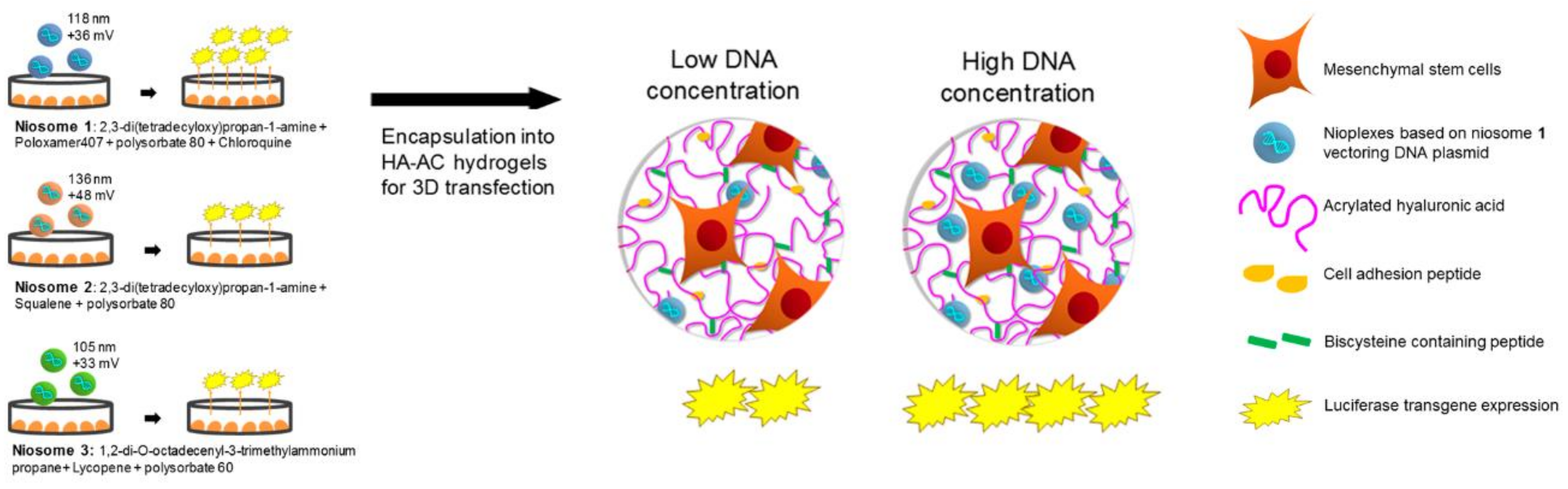 Pharmaceutics 13 00843 g004 Pharmaceutics 13 00843 g004