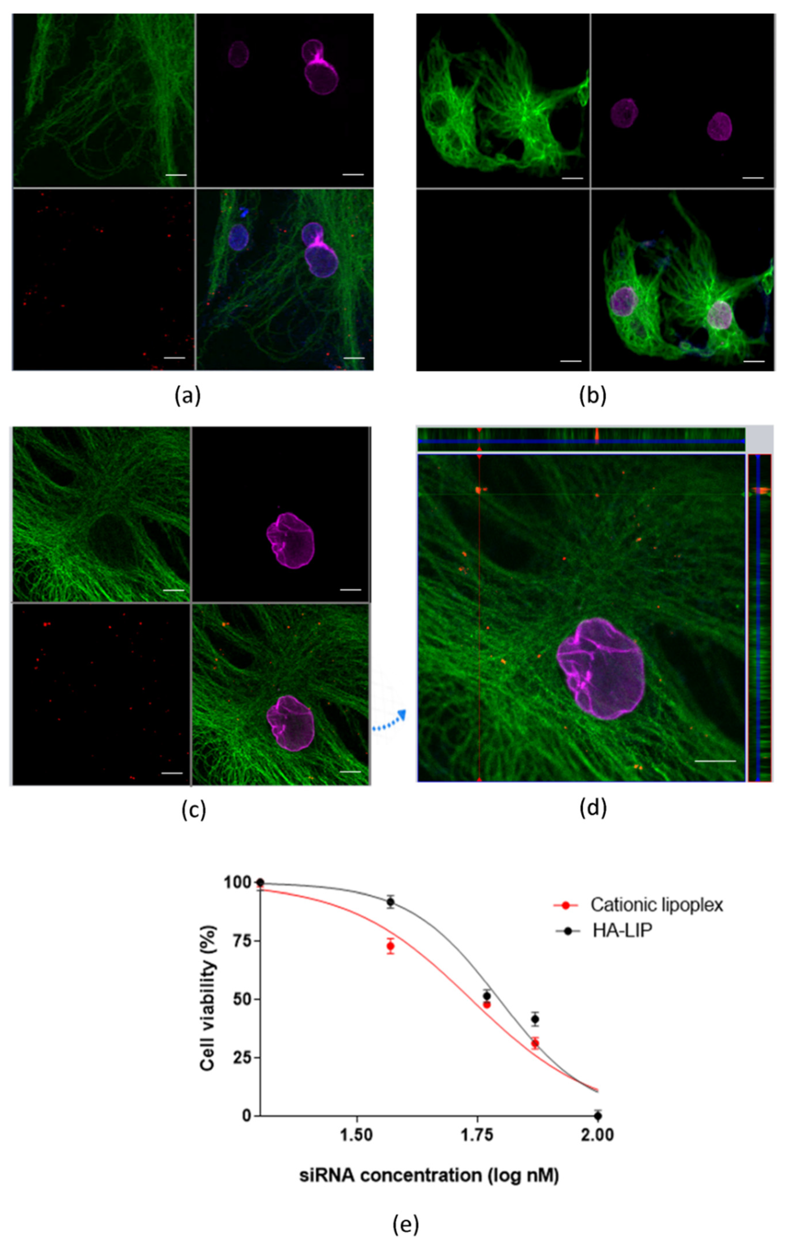 Pharmaceutics 13 00845 g002
