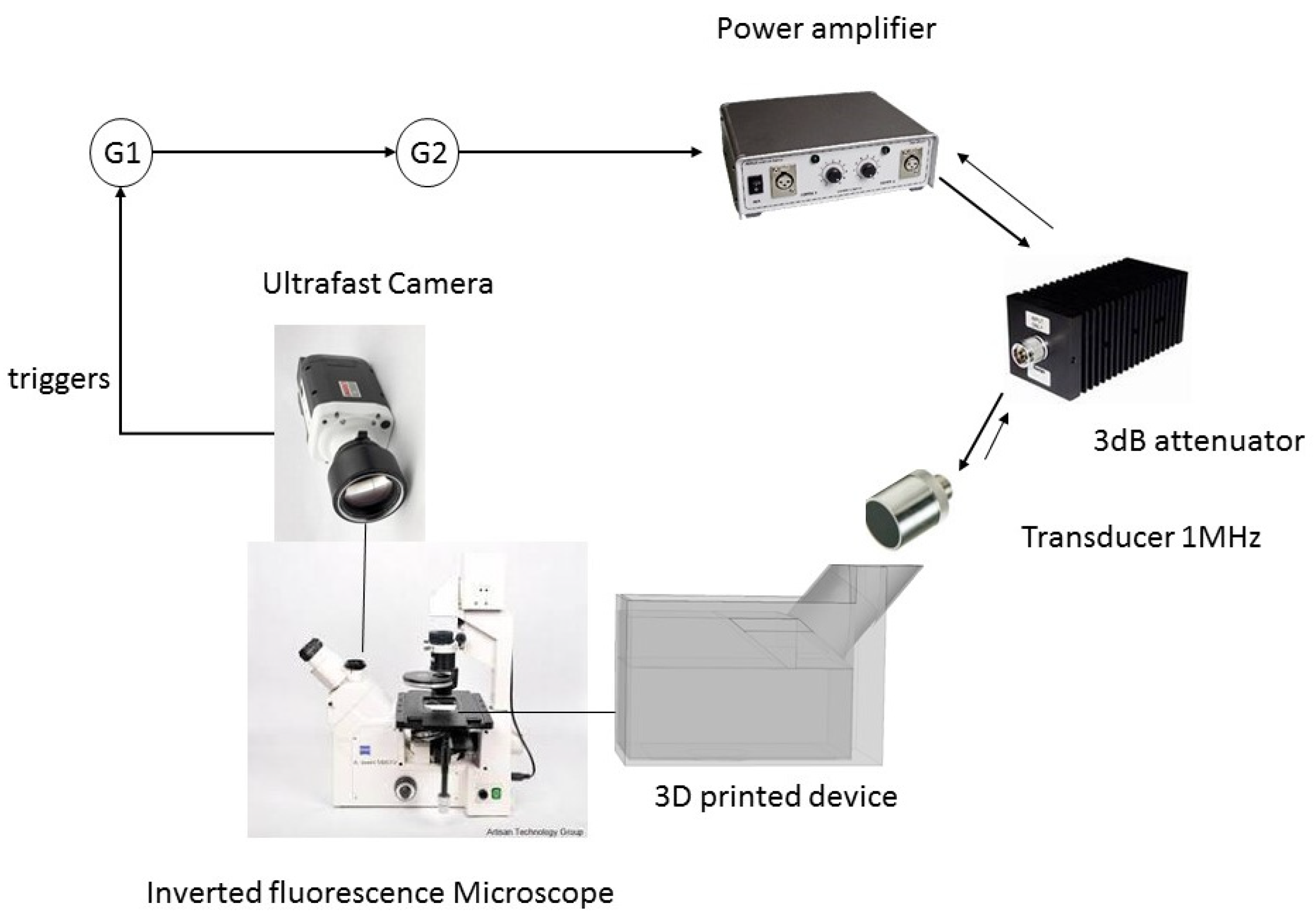 Pharmaceutics 13 00847 g001 Pharmaceutics 13 00847 g001