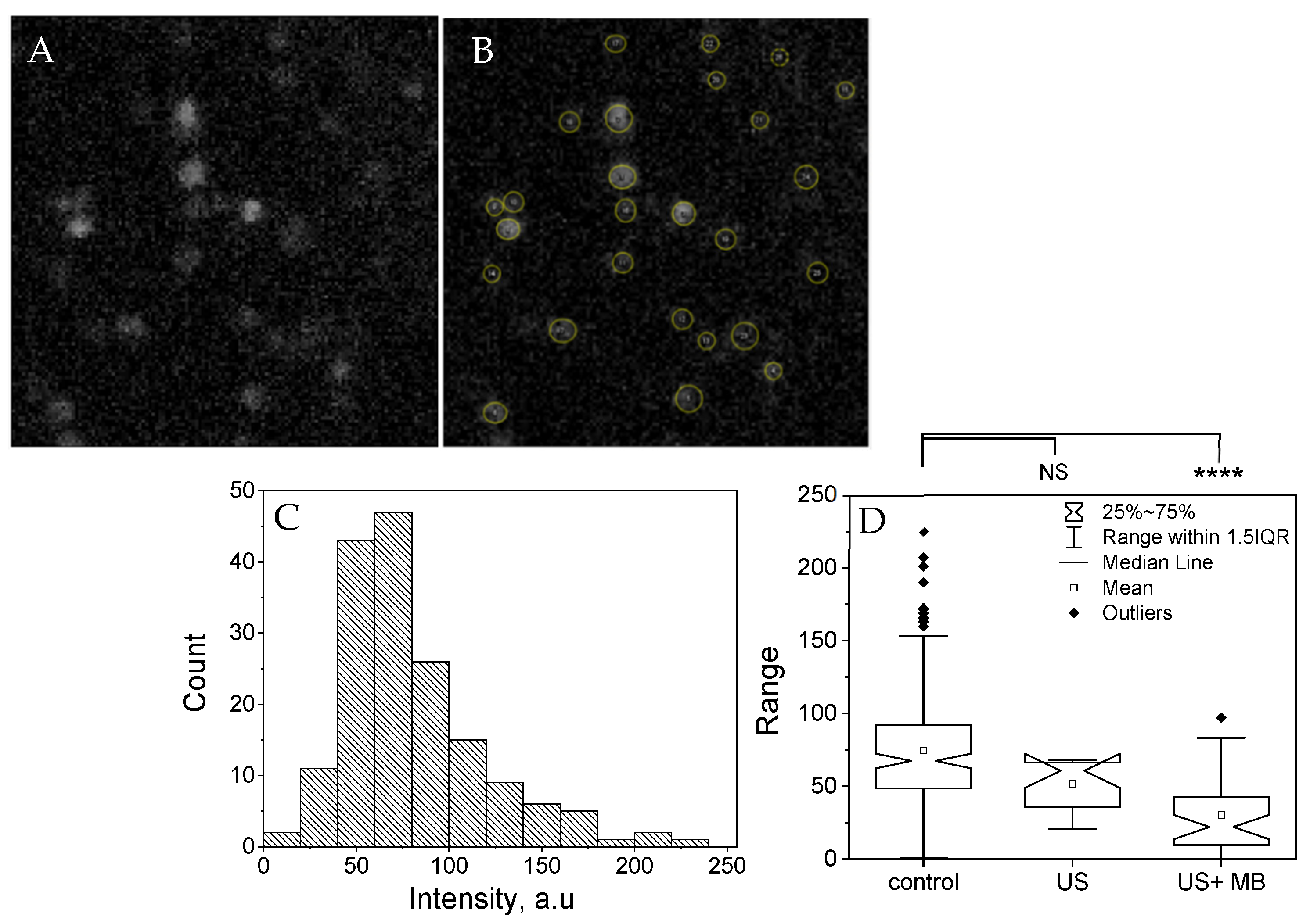 Pharmaceutics 13 00847 g007 Pharmaceutics 13 00847 g007