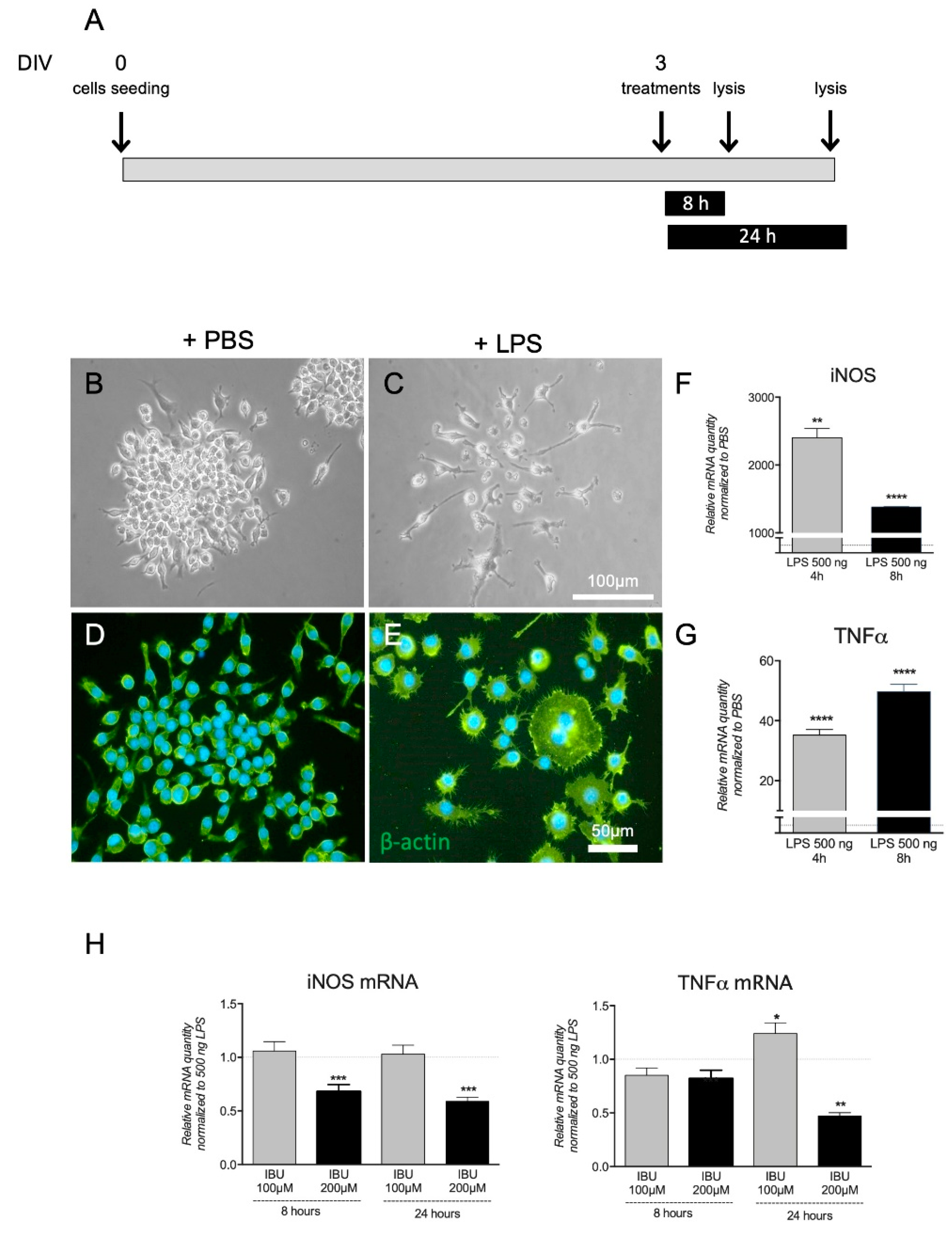 Pharmaceutics 13 00848 g001 Pharmaceutics 13 00848 g001