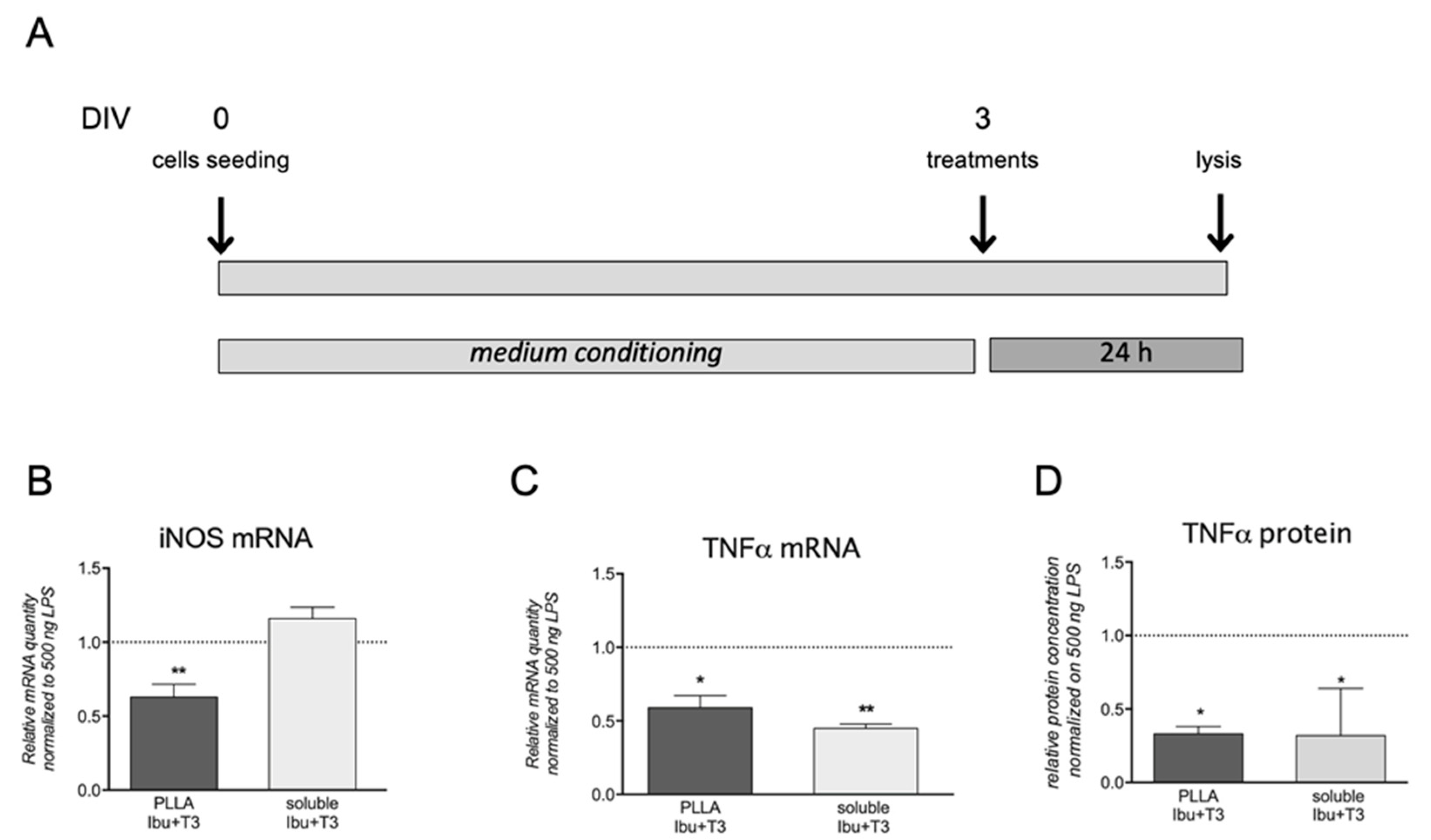 Pharmaceutics 13 00848 g006 Pharmaceutics 13 00848 g006