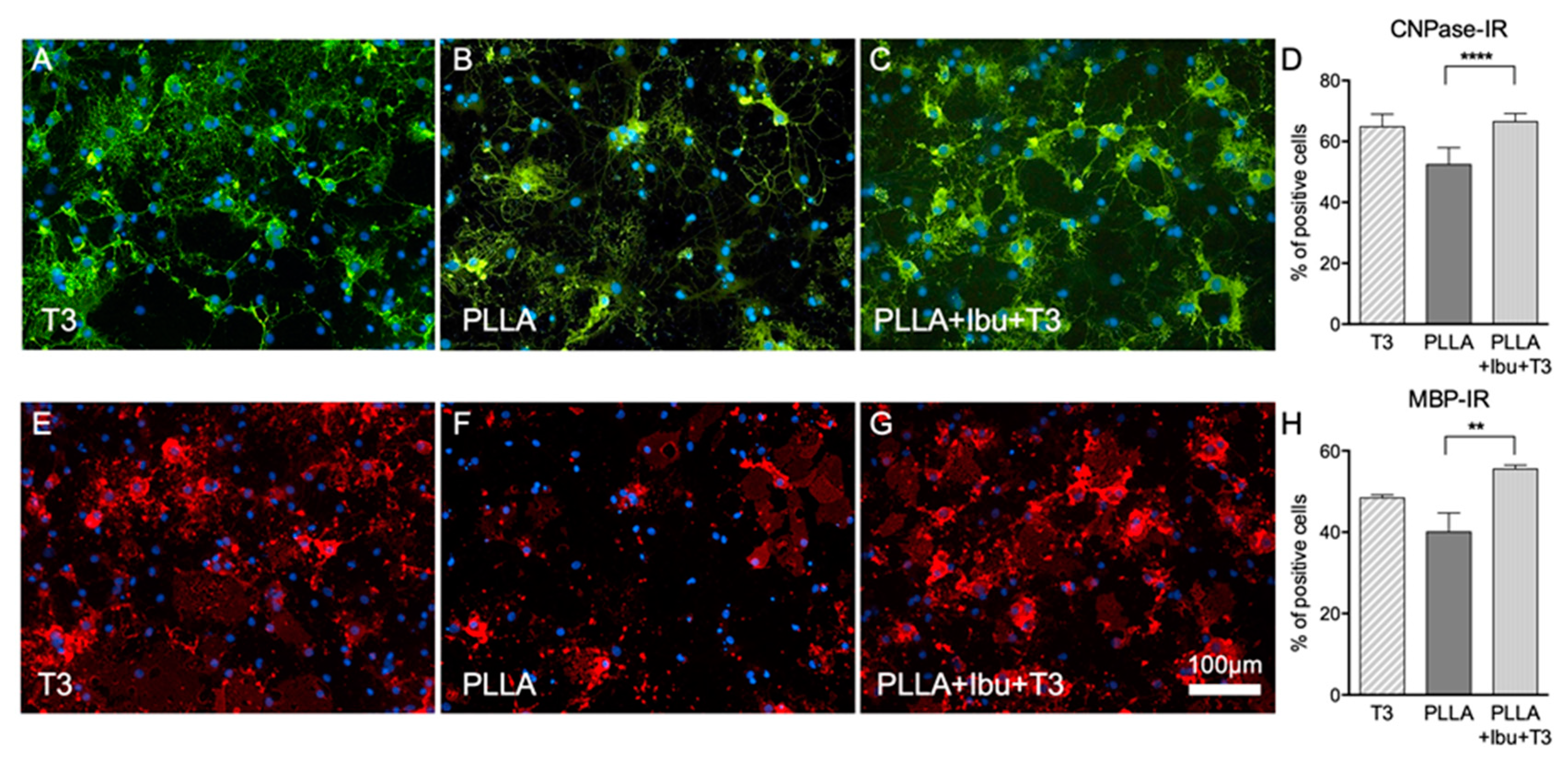 Pharmaceutics 13 00848 g007 Pharmaceutics 13 00848 g007