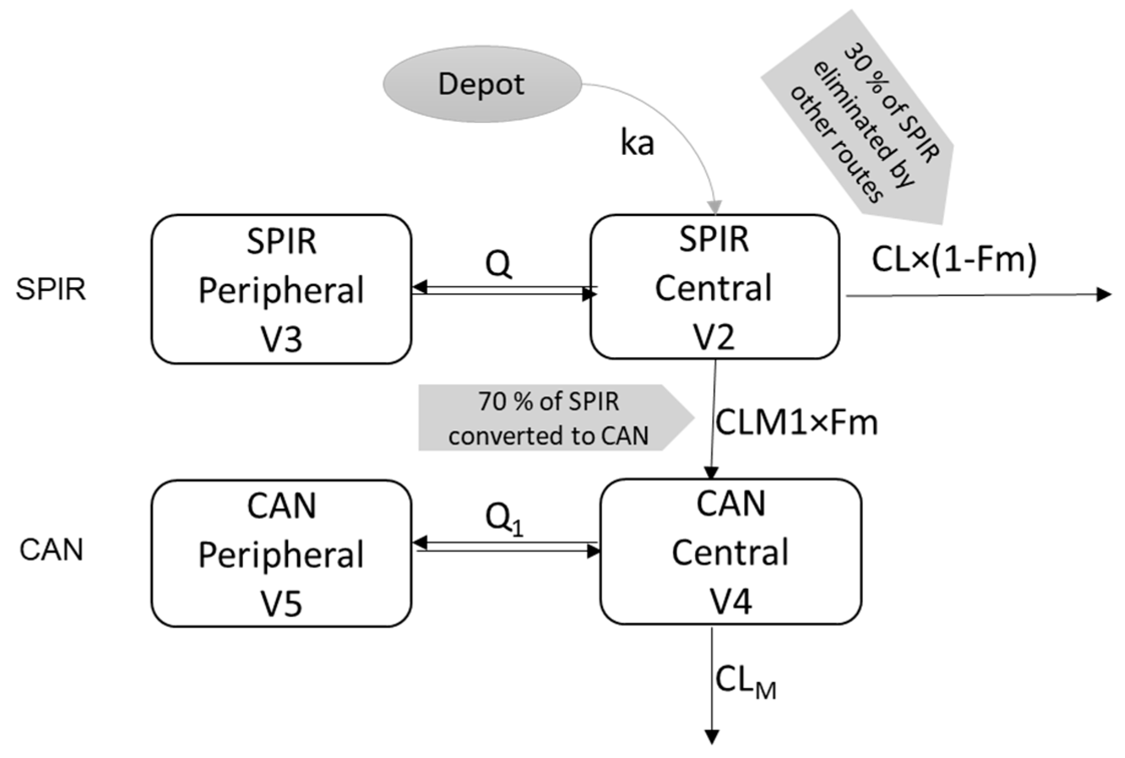 Pharmaceutics 13 00849 g001