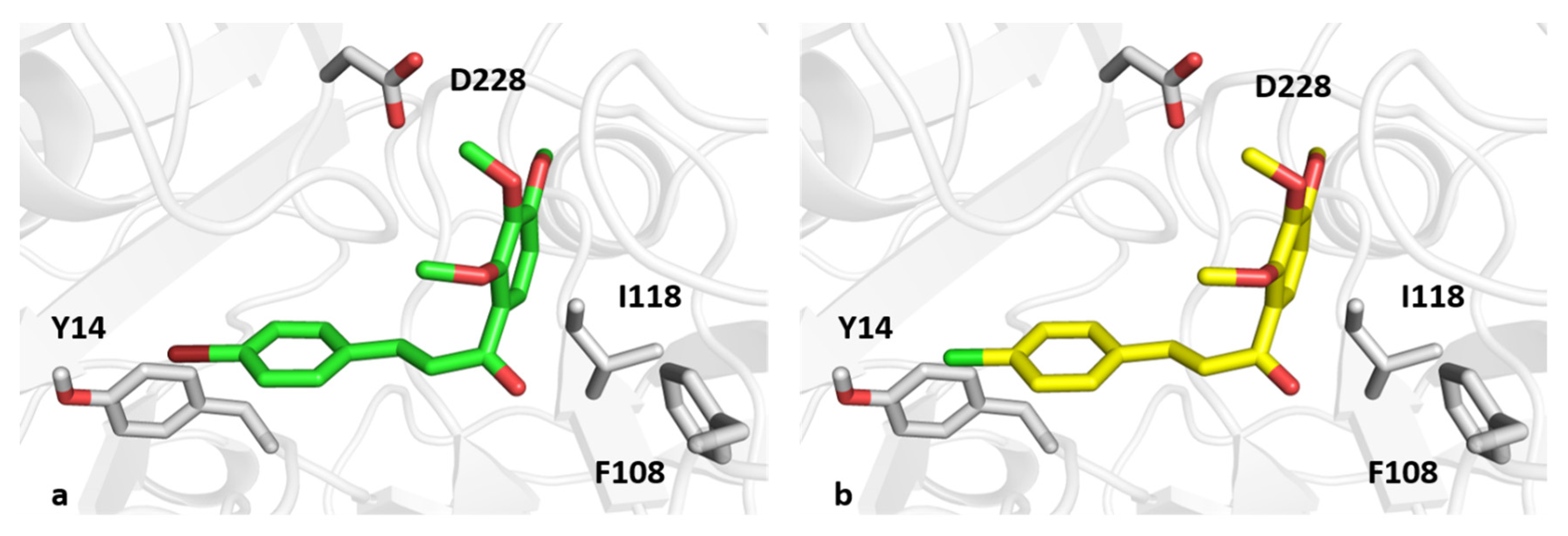 Pharmaceutics 13 00850 g008 Pharmaceutics 13 00850 g008