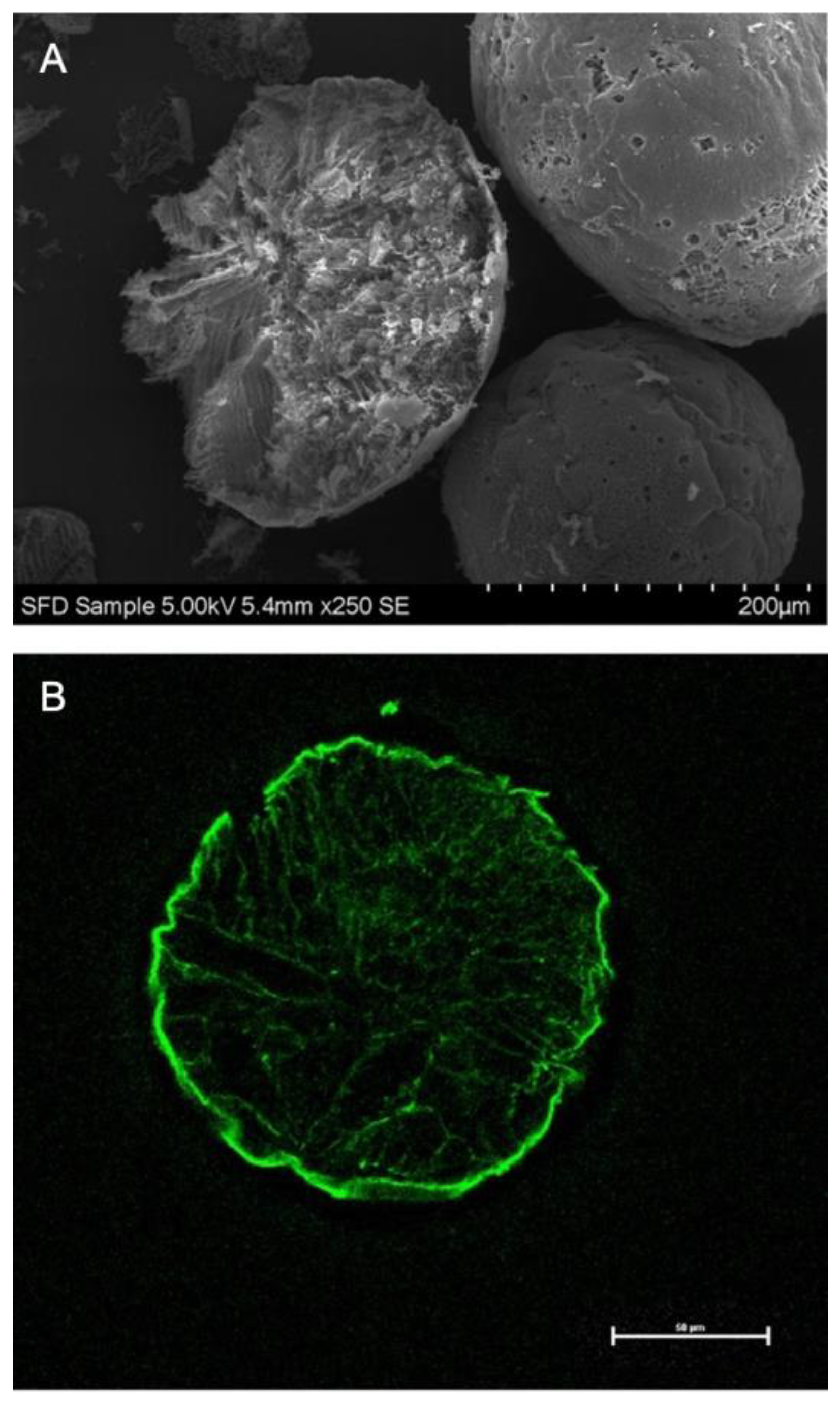 Pharmaceutics 13 00852 g002 Pharmaceutics 13 00852 g002