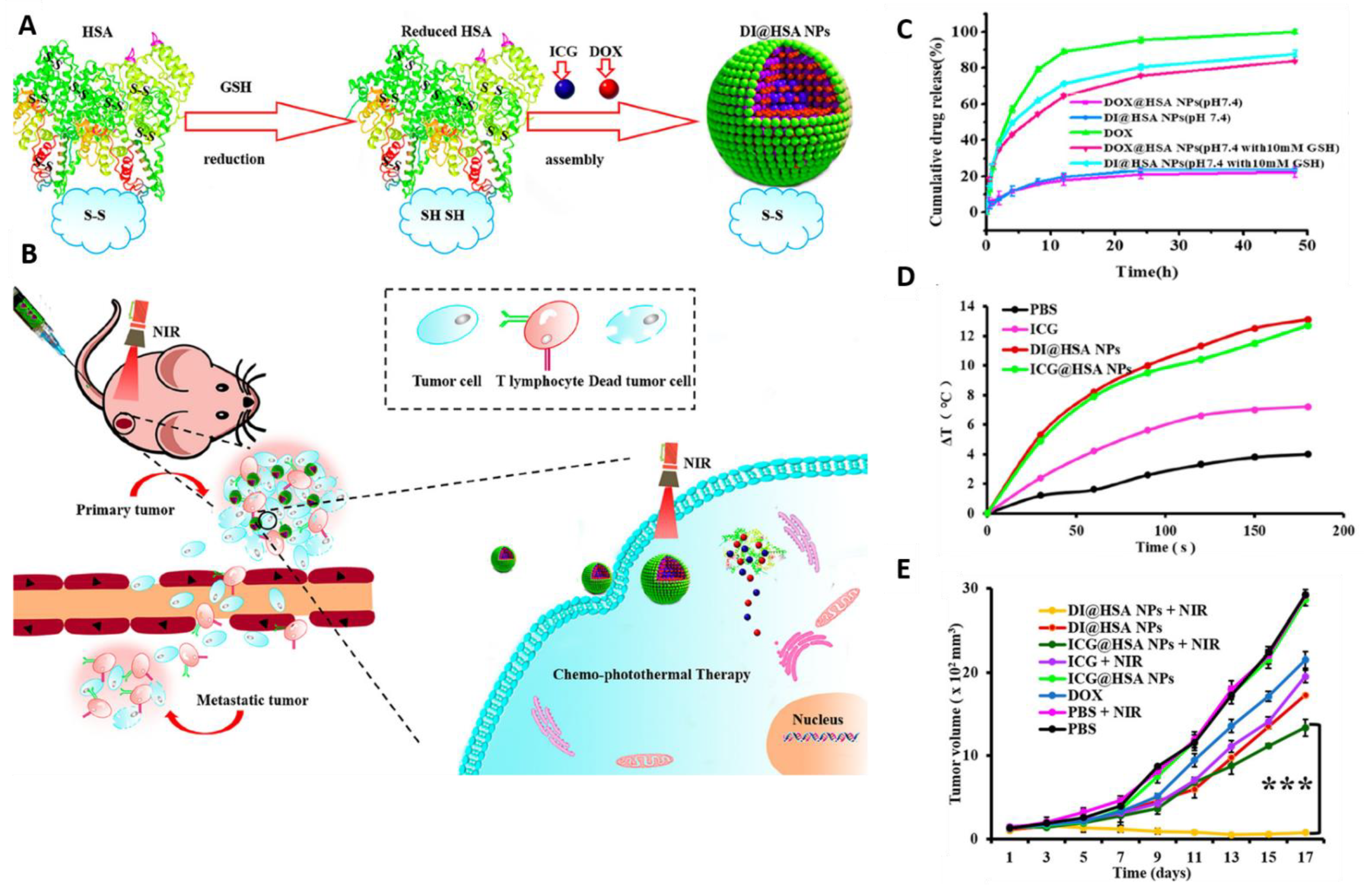Pharmaceutics 13 00853 g003 Pharmaceutics 13 00853 g003