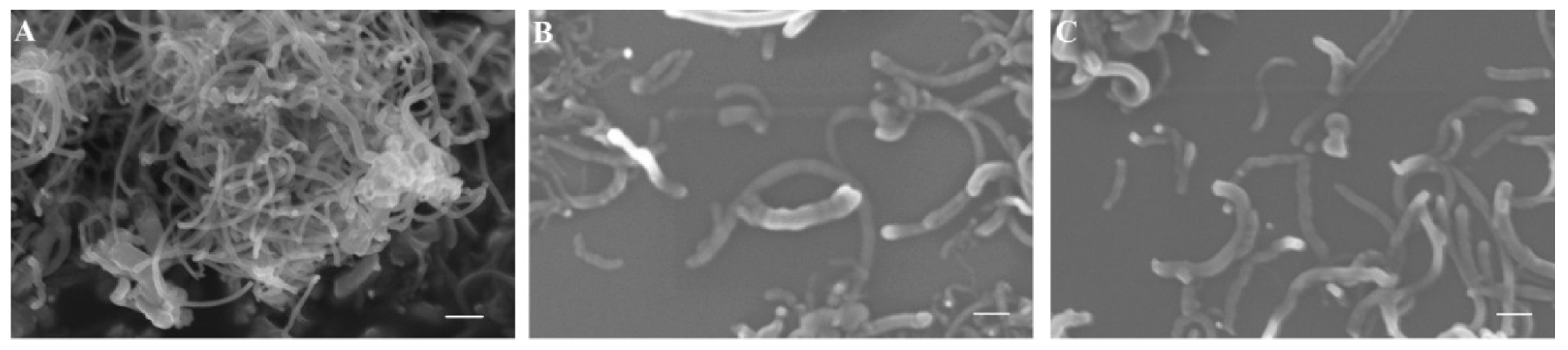 Pharmaceutics 13 00858 g004 Pharmaceutics 13 00858 g004