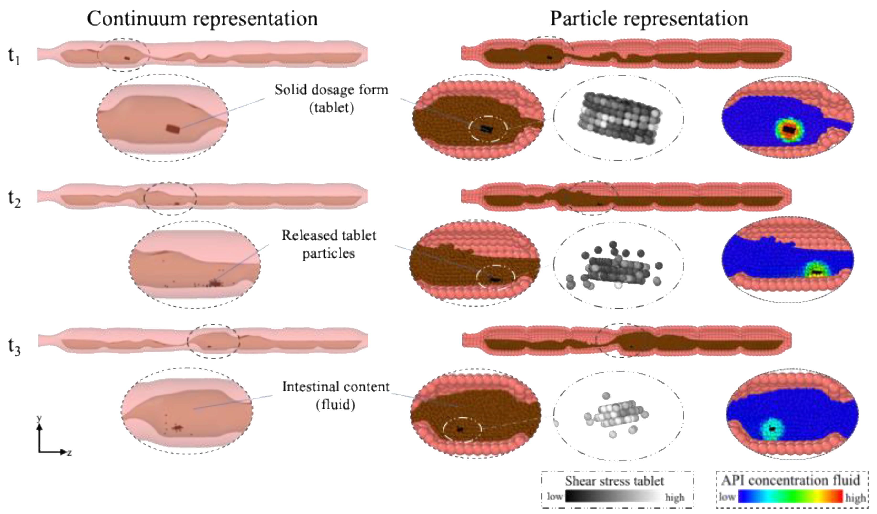 Pharmaceutics 13 00859 g003 Pharmaceutics 13 00859 g003