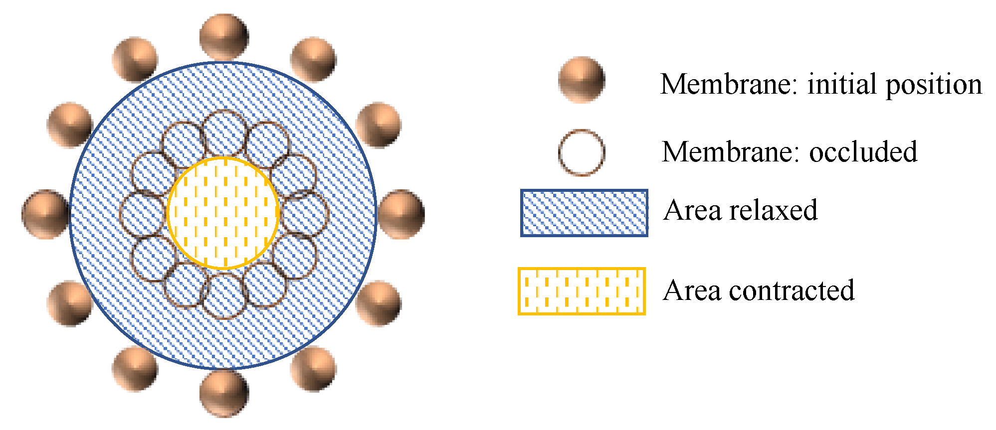 Pharmaceutics 13 00859 g005 Pharmaceutics 13 00859 g005