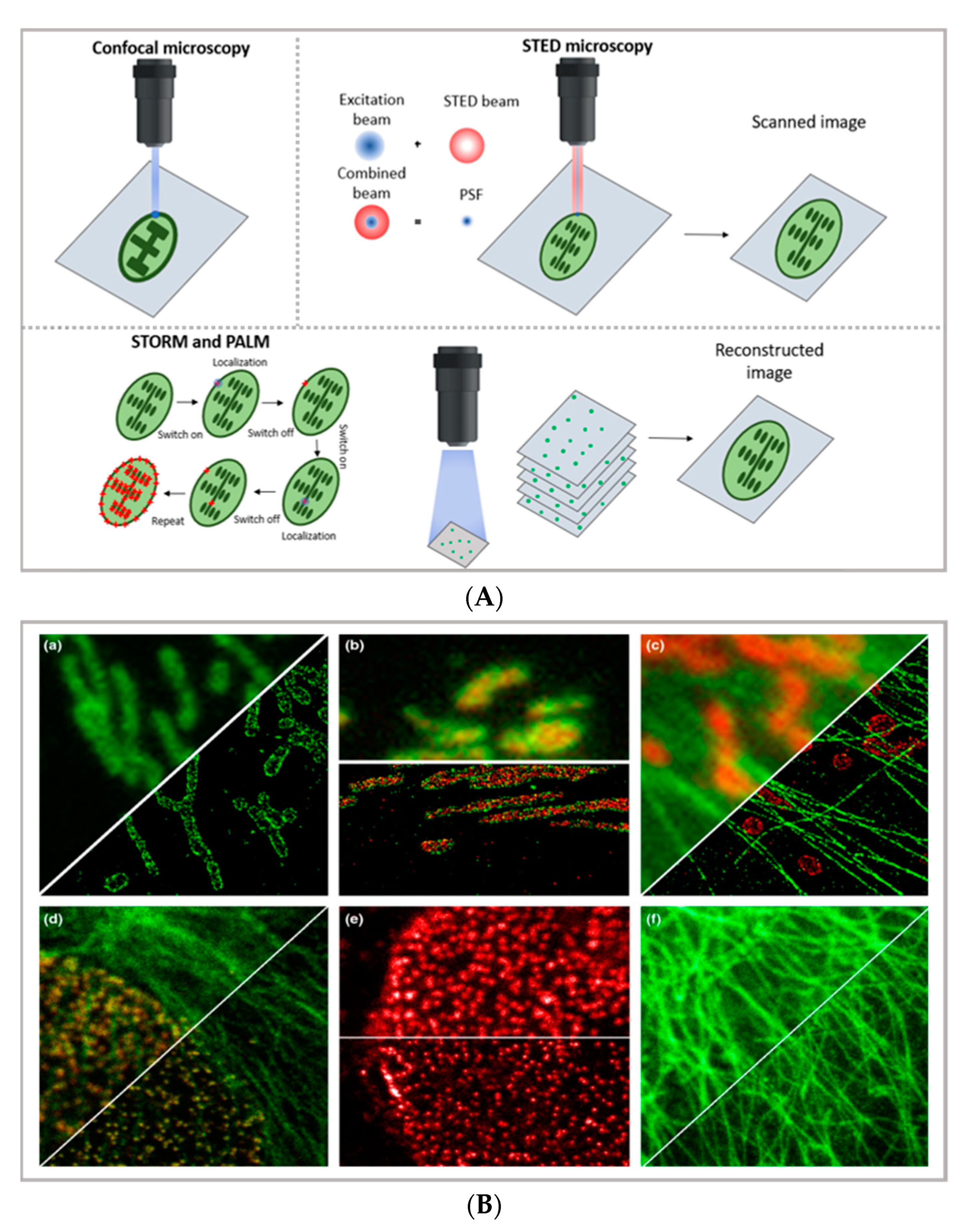 Pharmaceutics 13 00861 g001a Pharmaceutics 13 00861 g001a