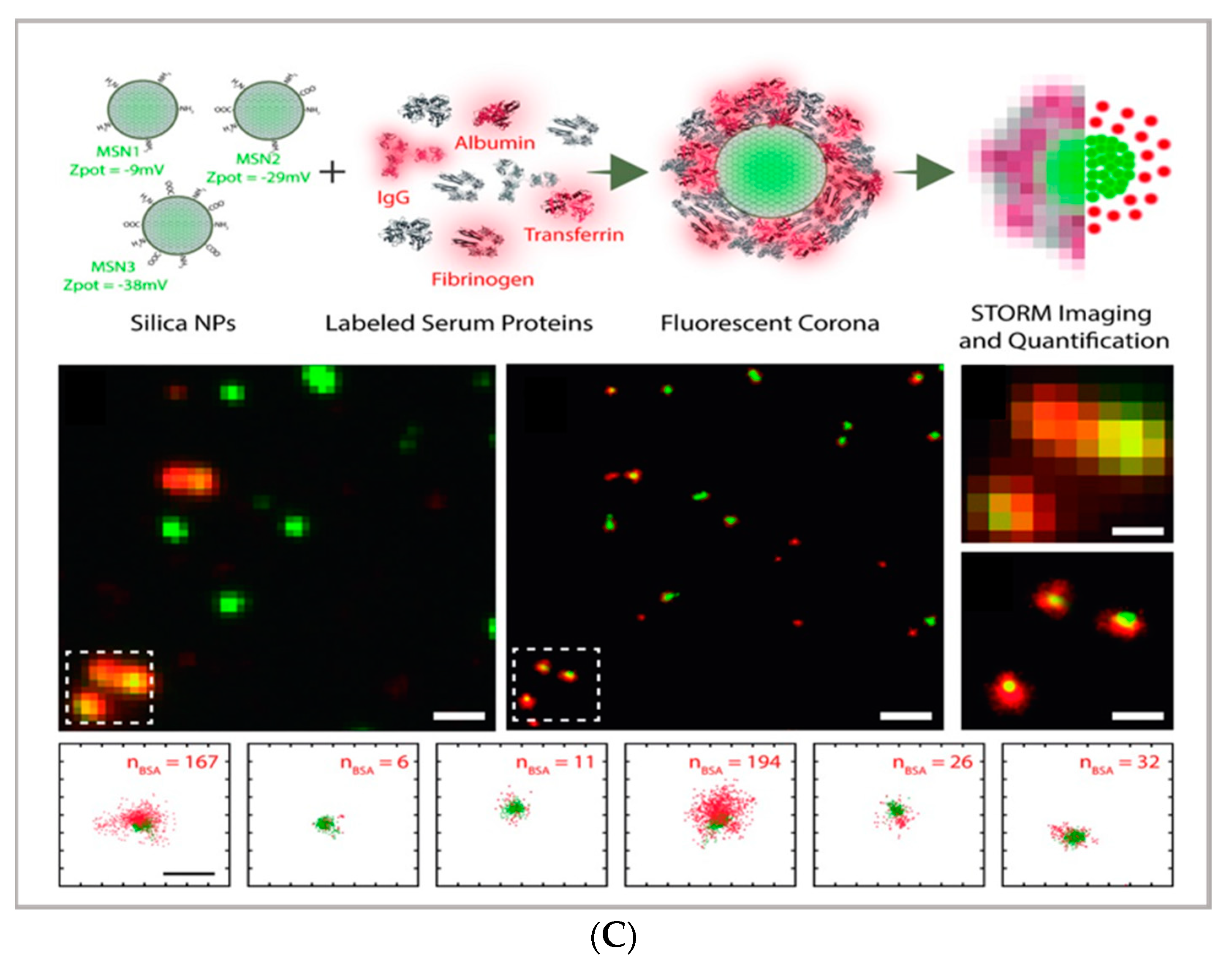 Pharmaceutics 13 00861 g001b Pharmaceutics 13 00861 g001b