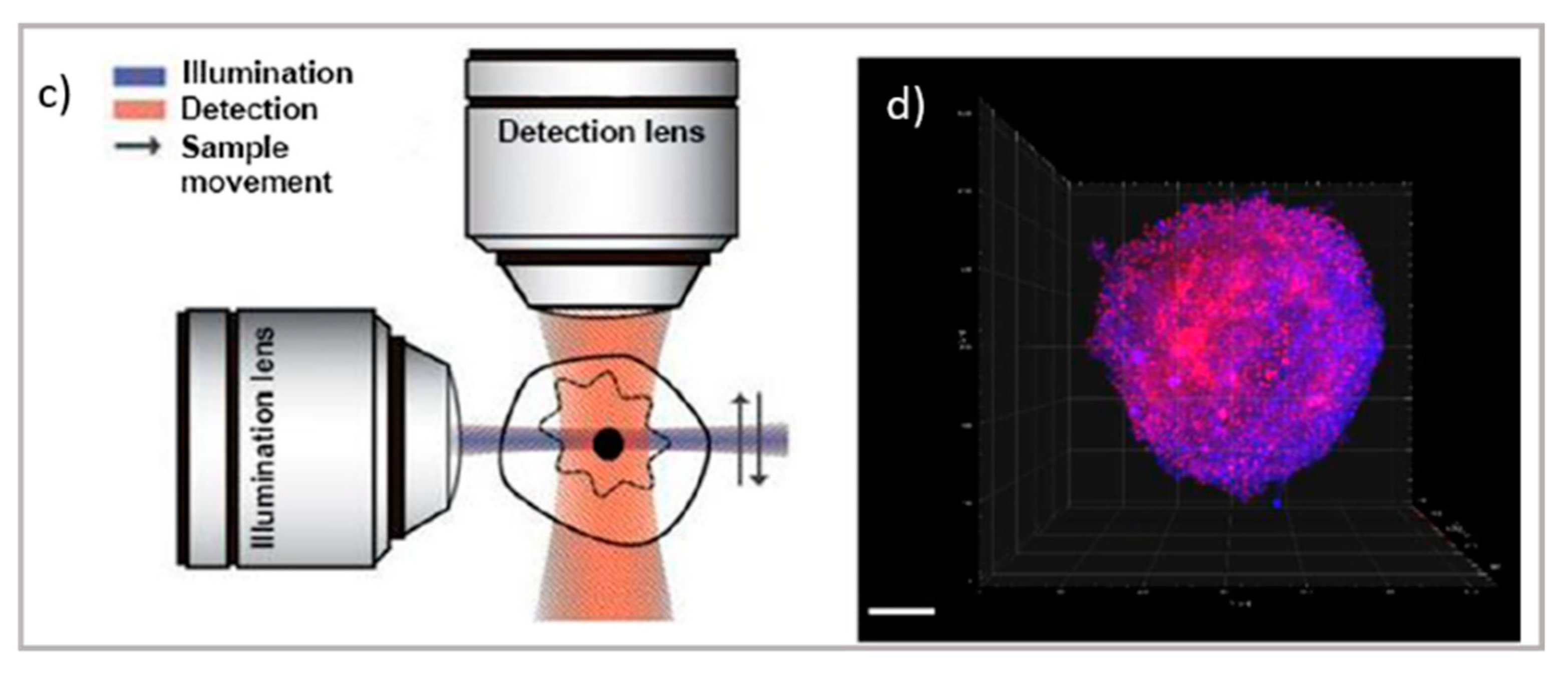 Pharmaceutics 13 00861 g002b Pharmaceutics 13 00861 g002b